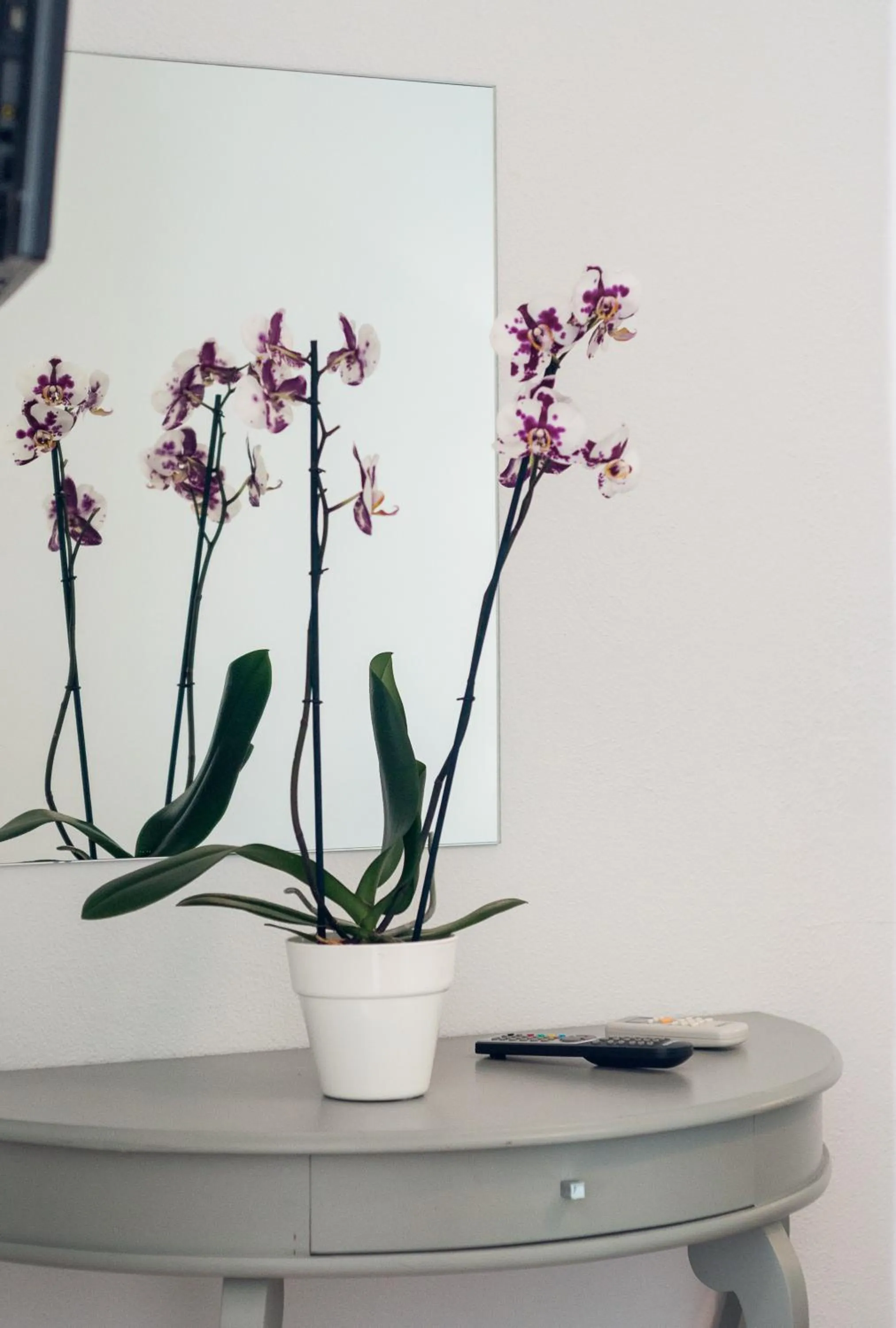 Other in Keri Village & Spa by Zante Plaza (Adults Only)