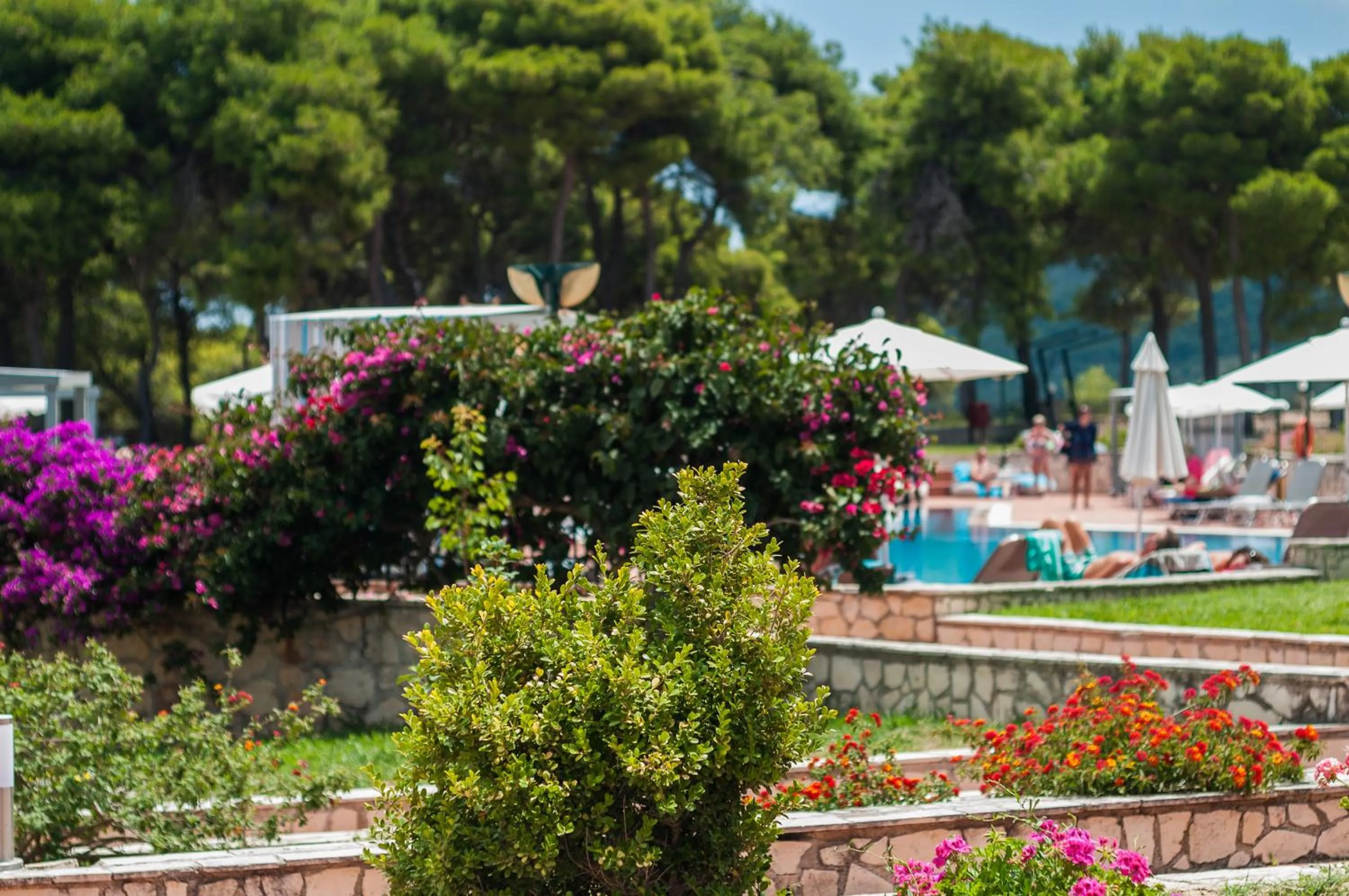 Garden in Keri Village & Spa by Zante Plaza (Adults Only)