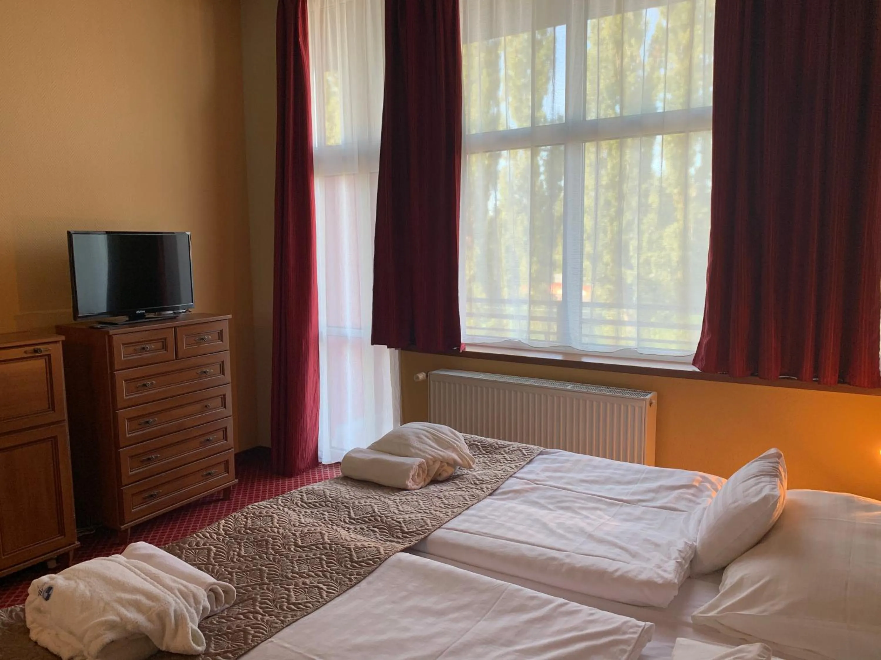 Photo of the whole room, Bed in Therma Nea Dunajská Streda