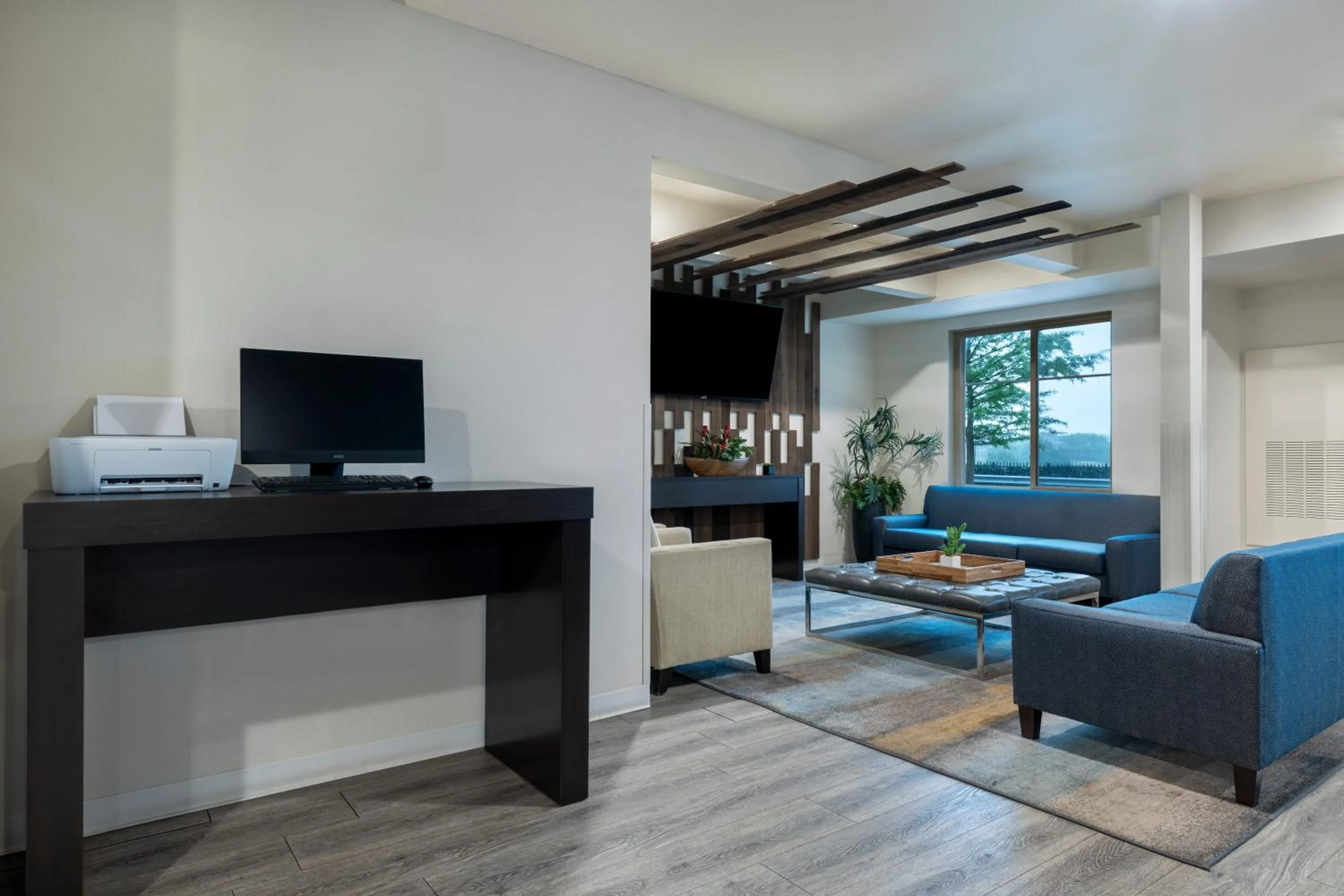 TV and multimedia in Soka Suites Dallas - Las Colinas