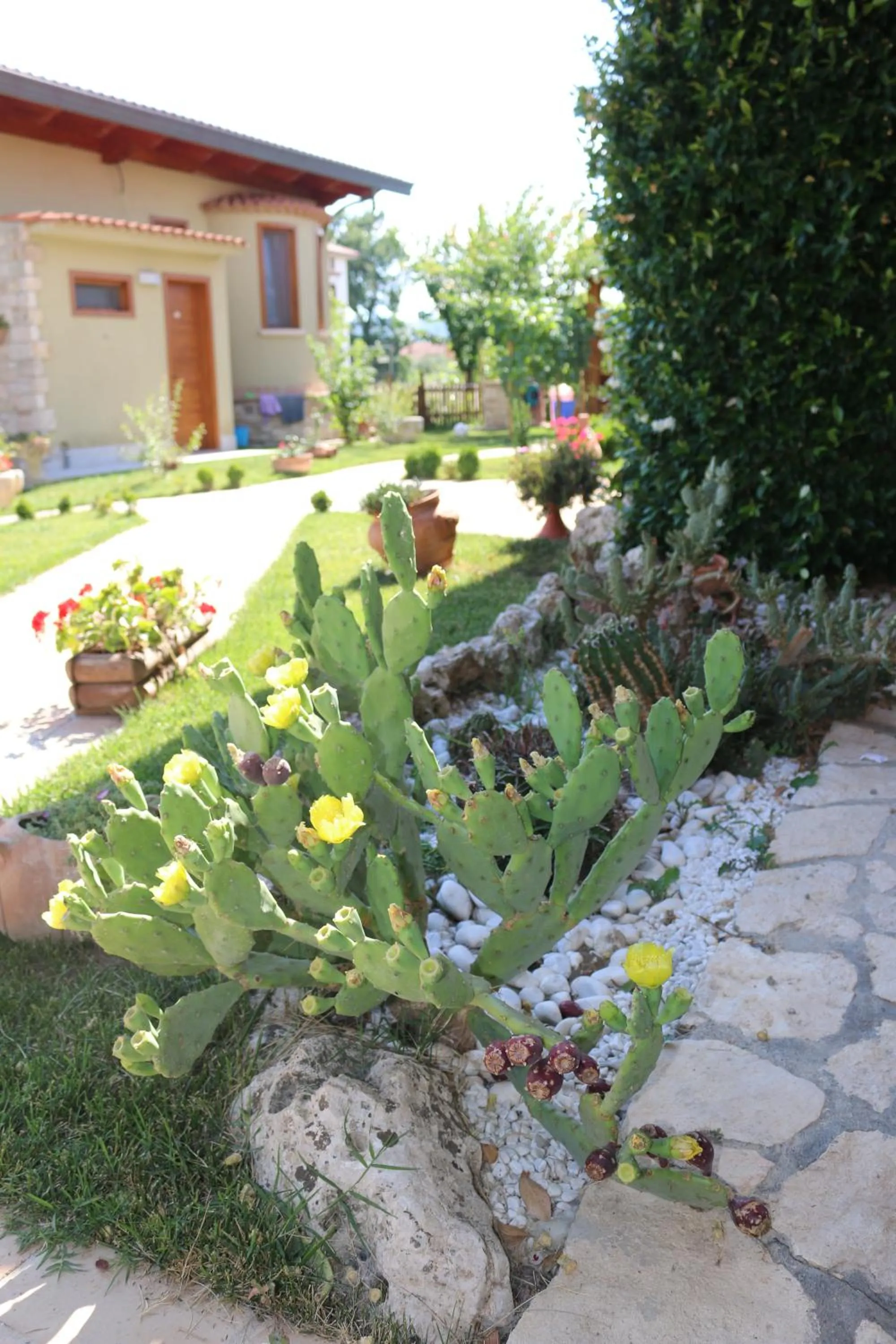 Garden in B&B A CASA DI ZIA LUISA