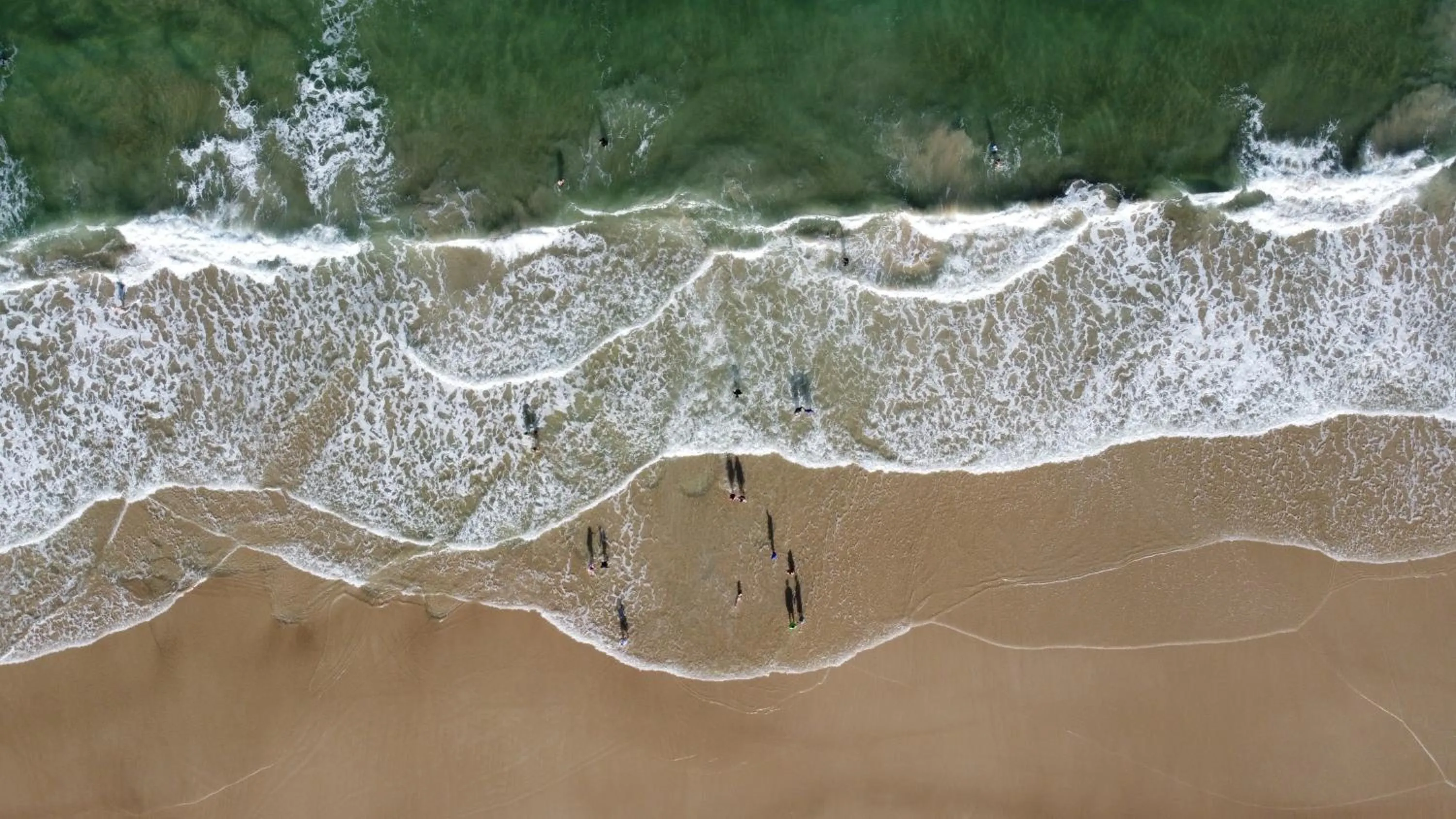 Natural landscape in Ilheus North Hotel