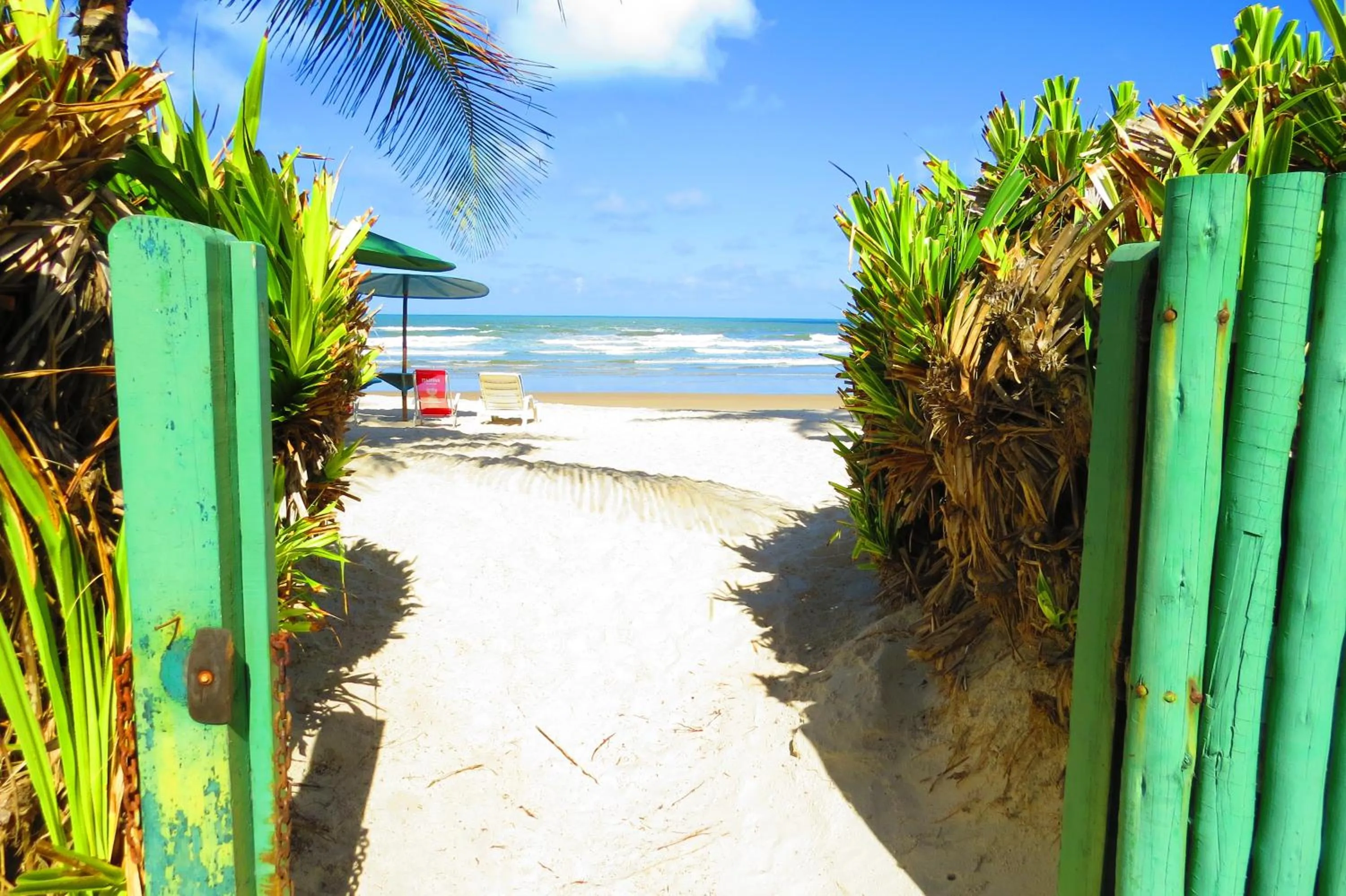 Beach in Ilheus North Hotel