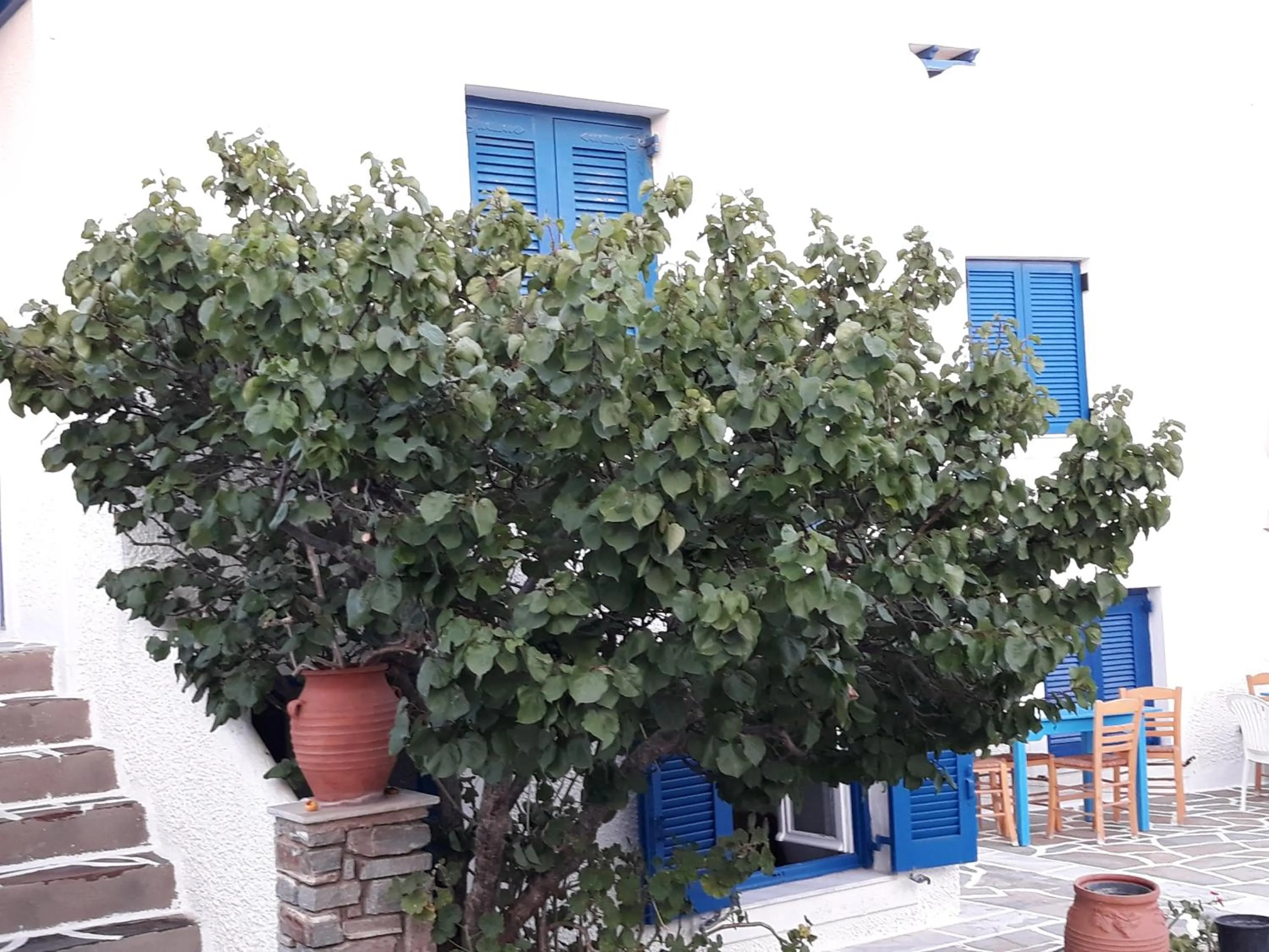 On site in Holidays in Paros