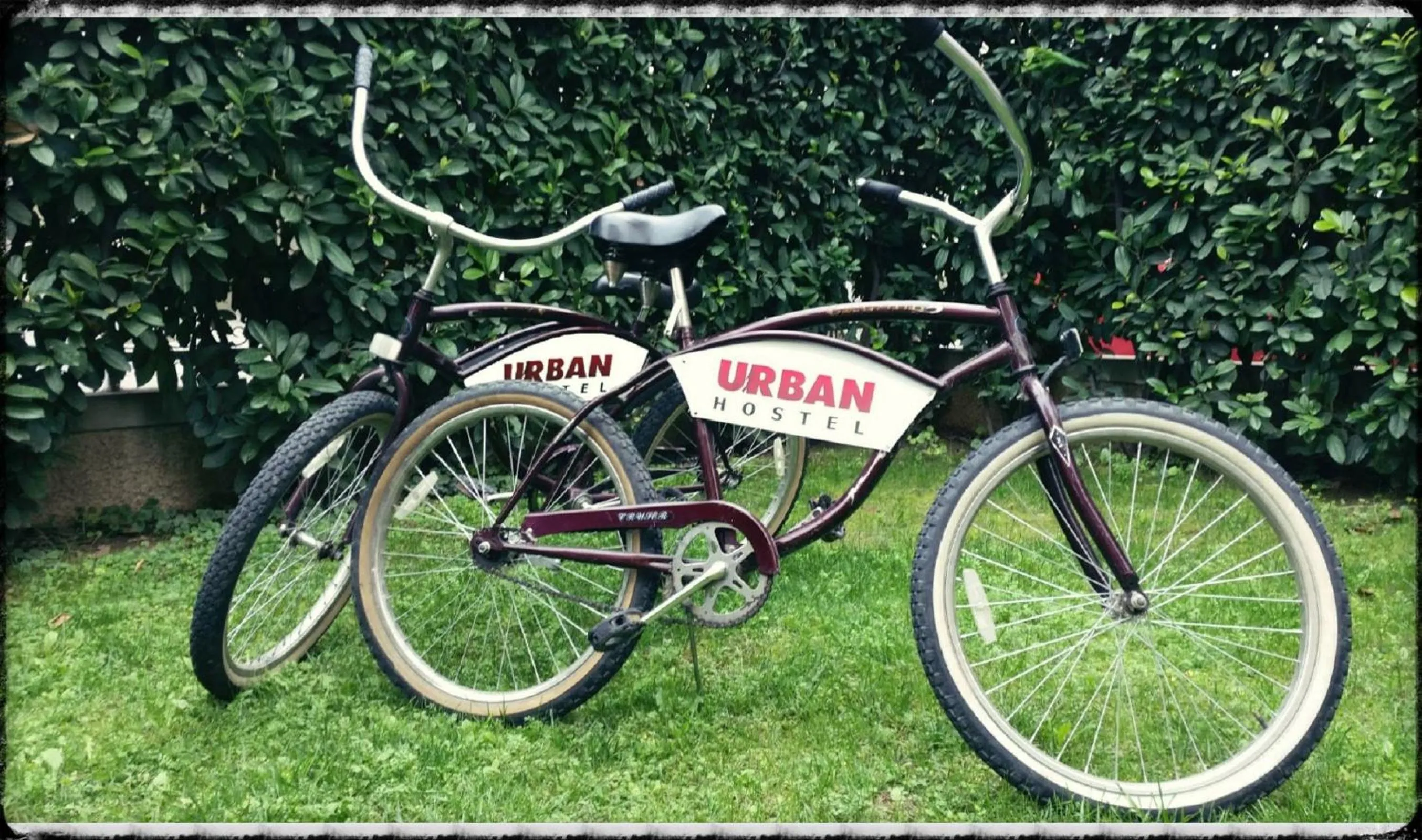 Cycling in Urban Hostel & Apartments