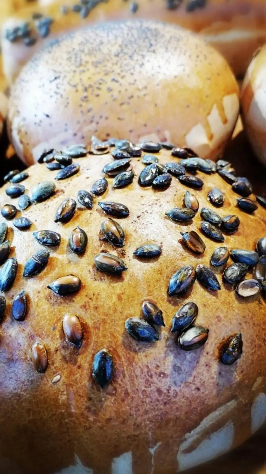 Food in Hotel Drim & SPA