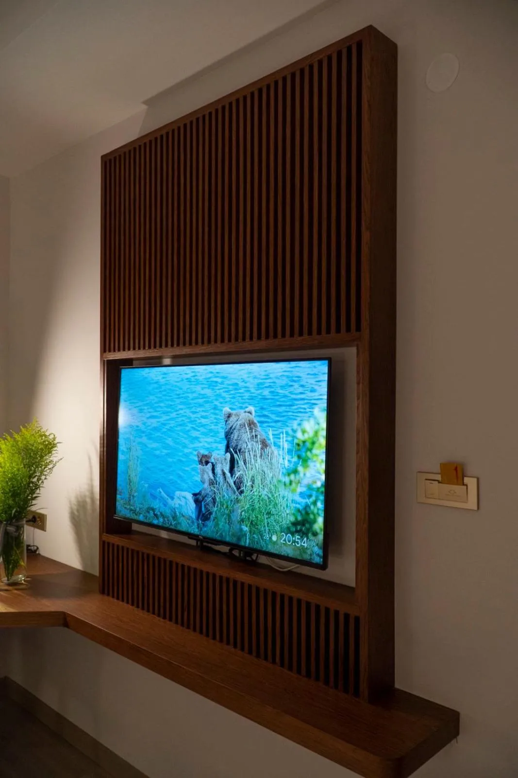 TV and multimedia in Hotel Drim & SPA
