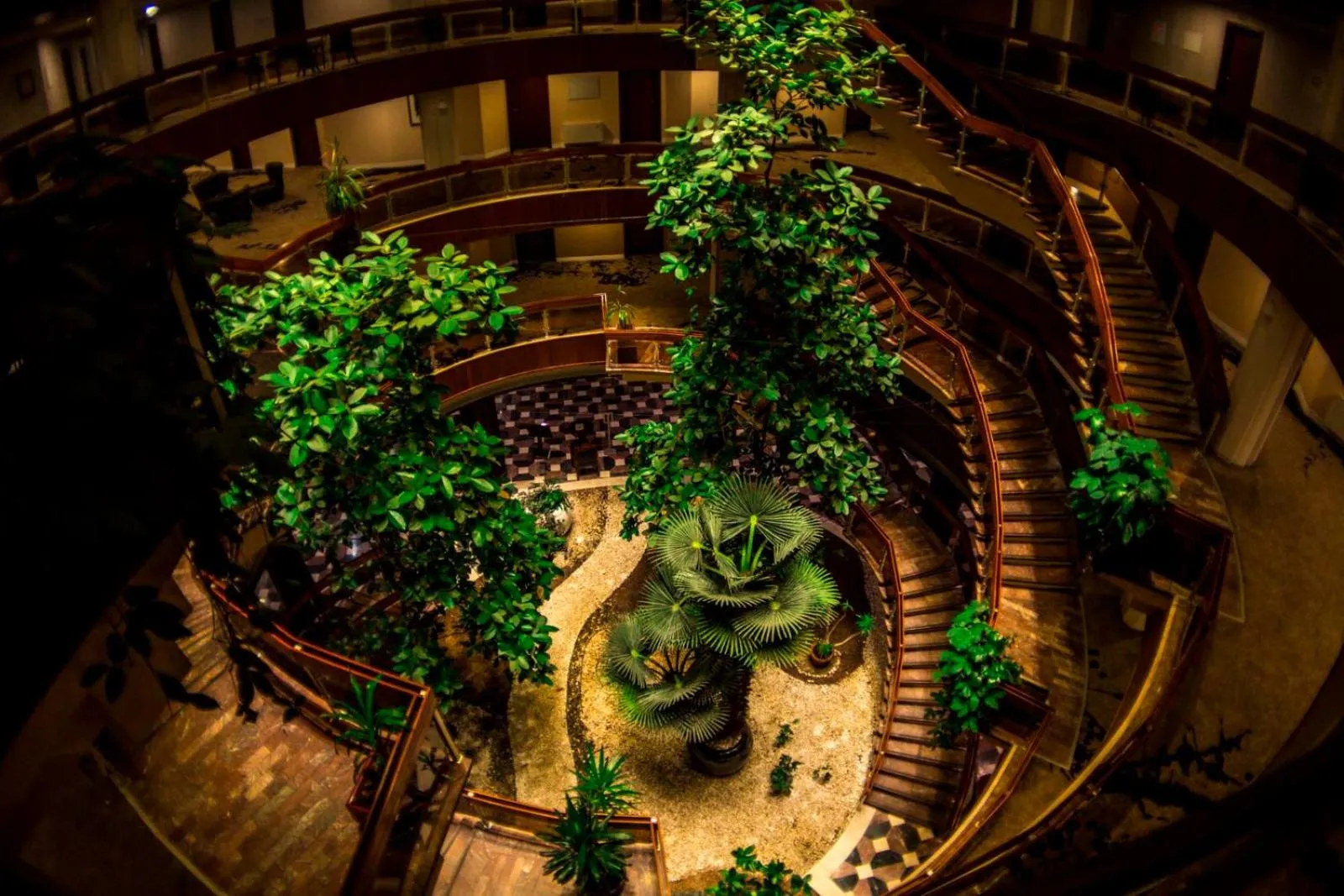 Garden in Hotel Drim & SPA