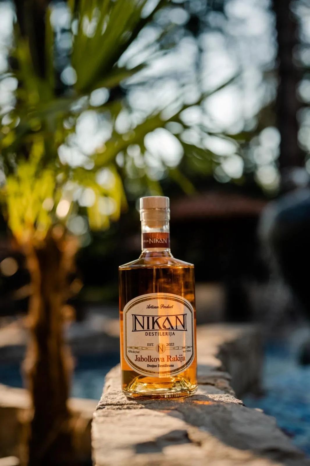 Day in Hotel Drim & SPA