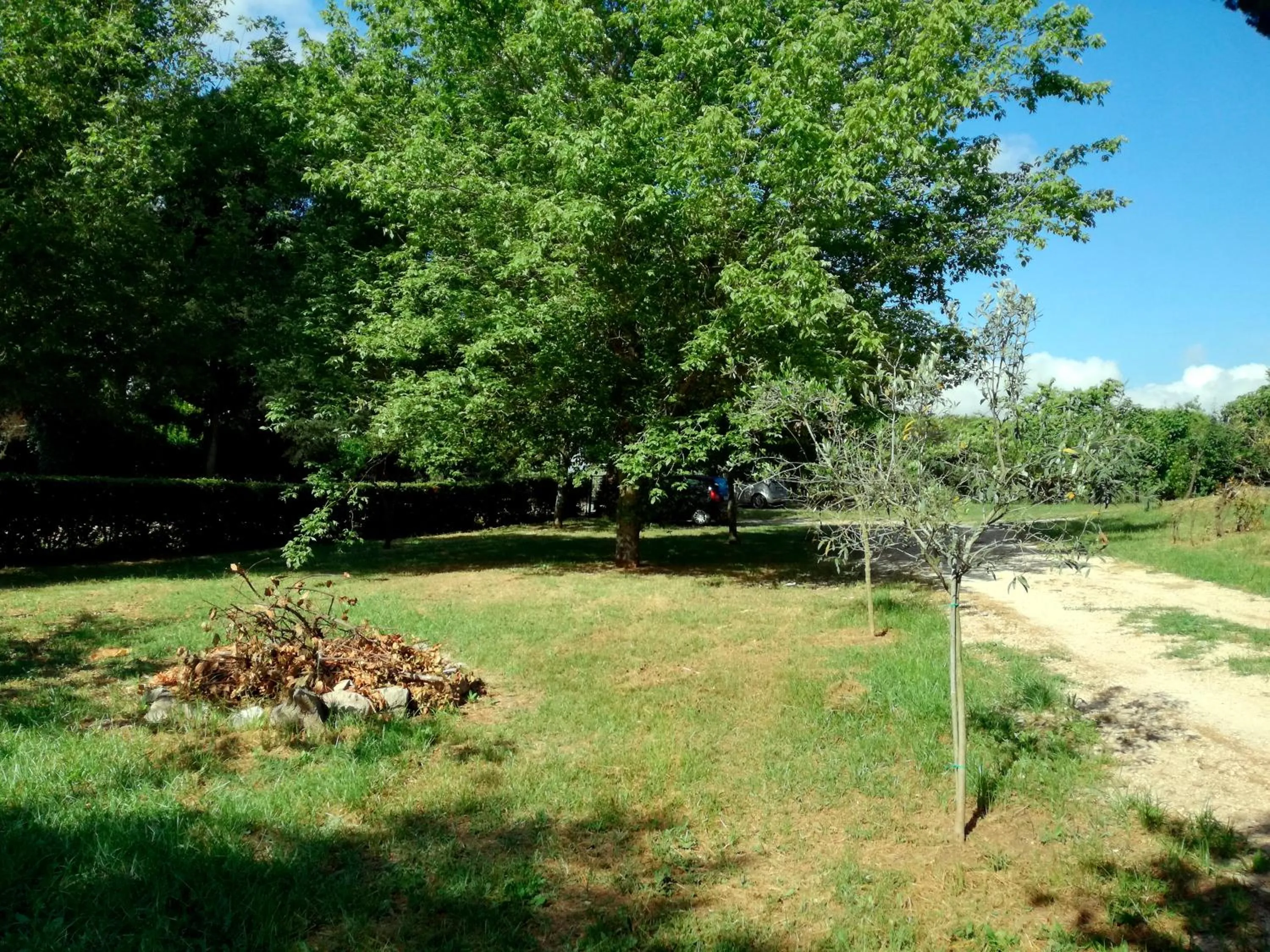 Garden in Vigna dell'Agrifoglio Home Residence di Eugenio Azzolini