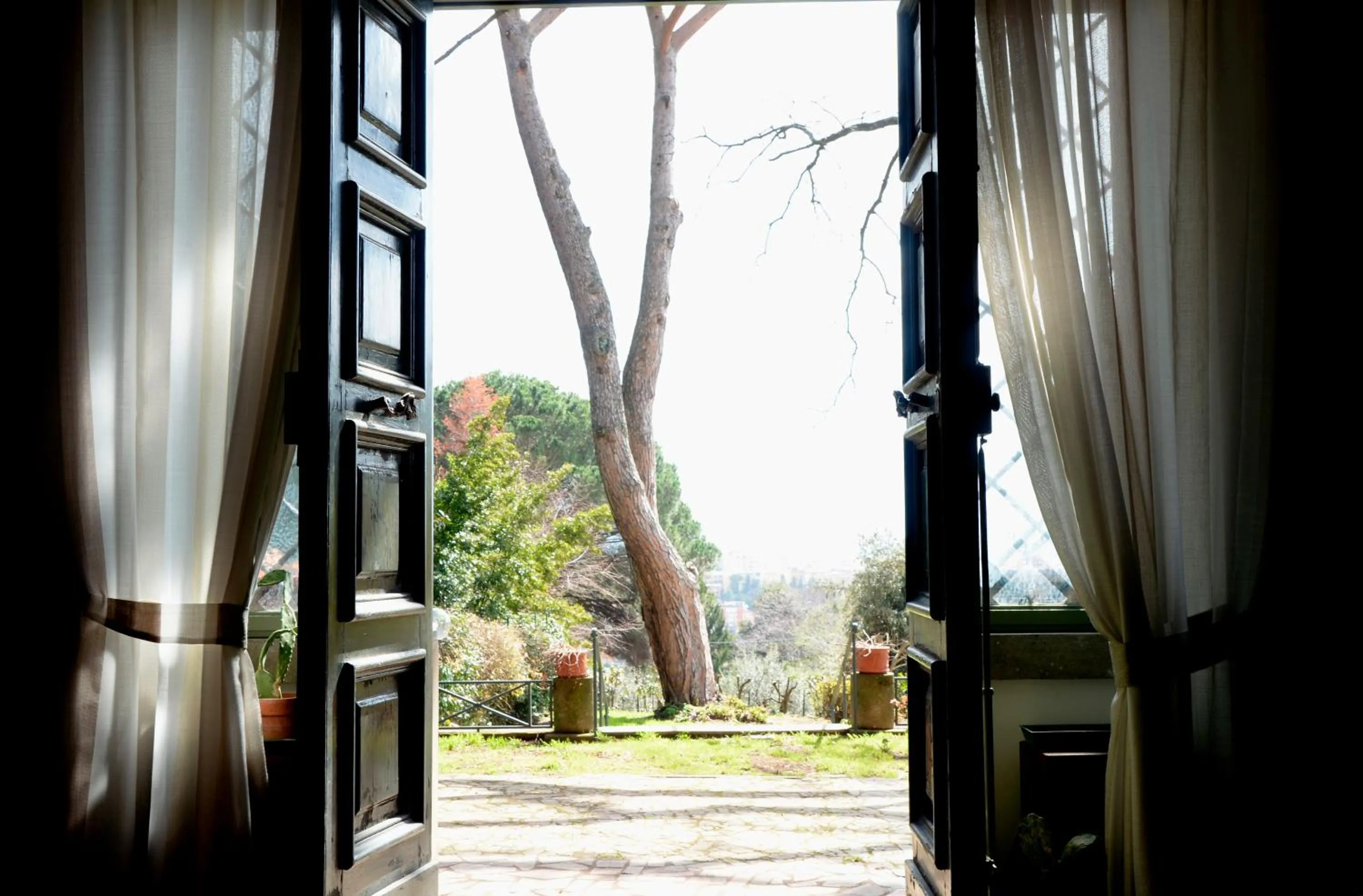 Garden view in Vigna dell'Agrifoglio Home Residence di Eugenio Azzolini