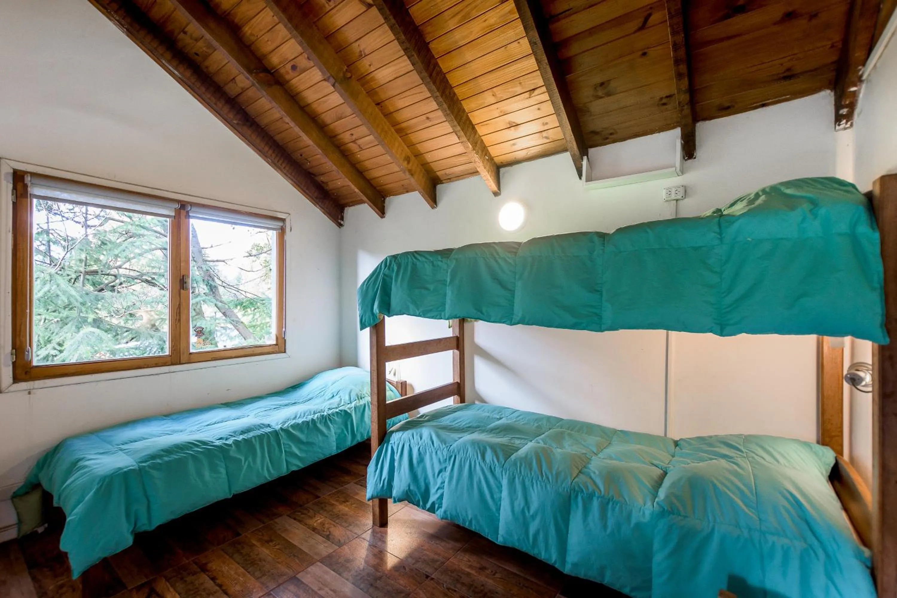 Bed in Hostel La Angostura