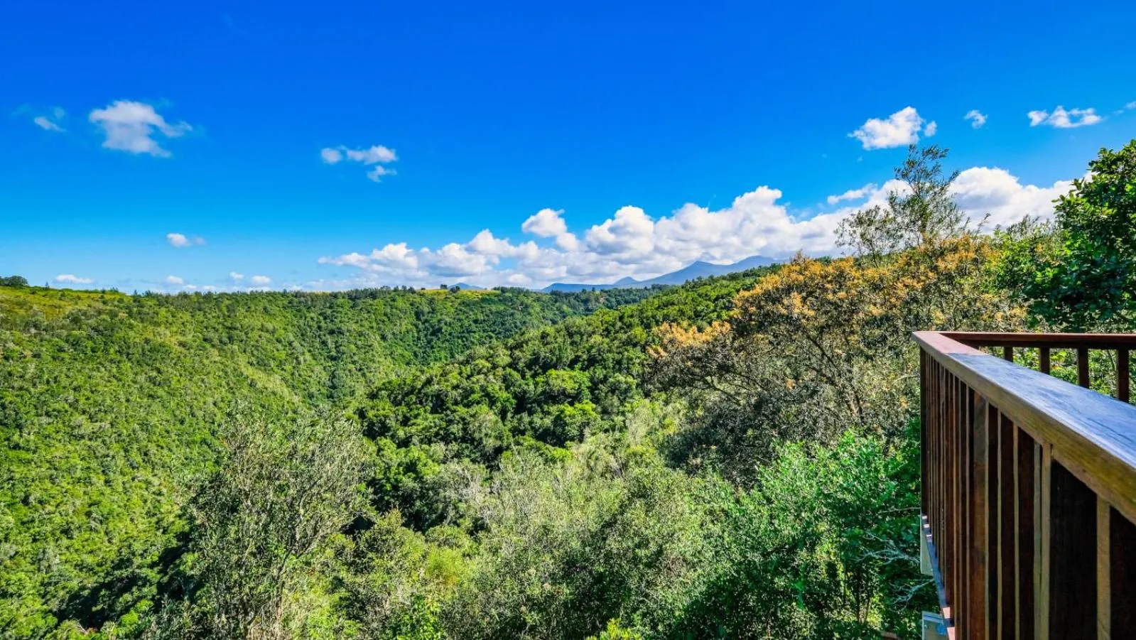 View (from property/room) in Teniqua Treetops