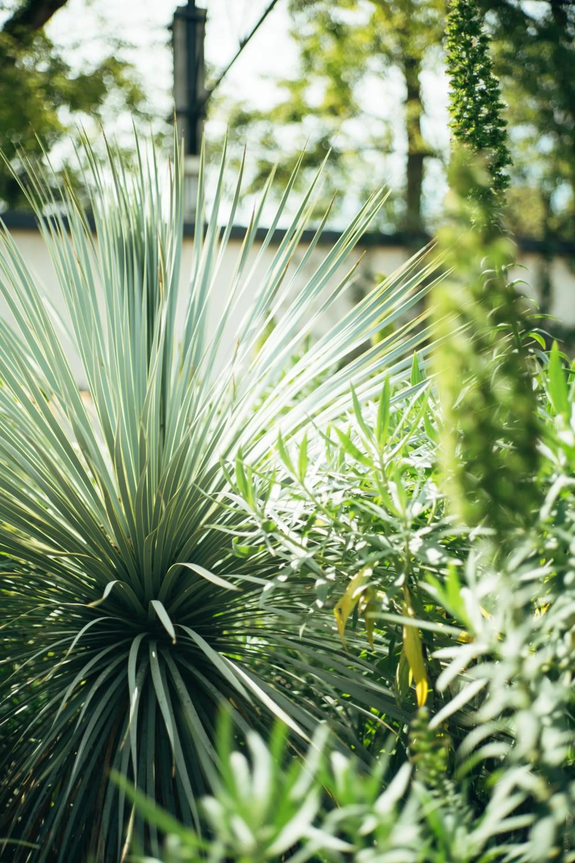 Garden in Horti 14 Borgo Trastevere Hotel