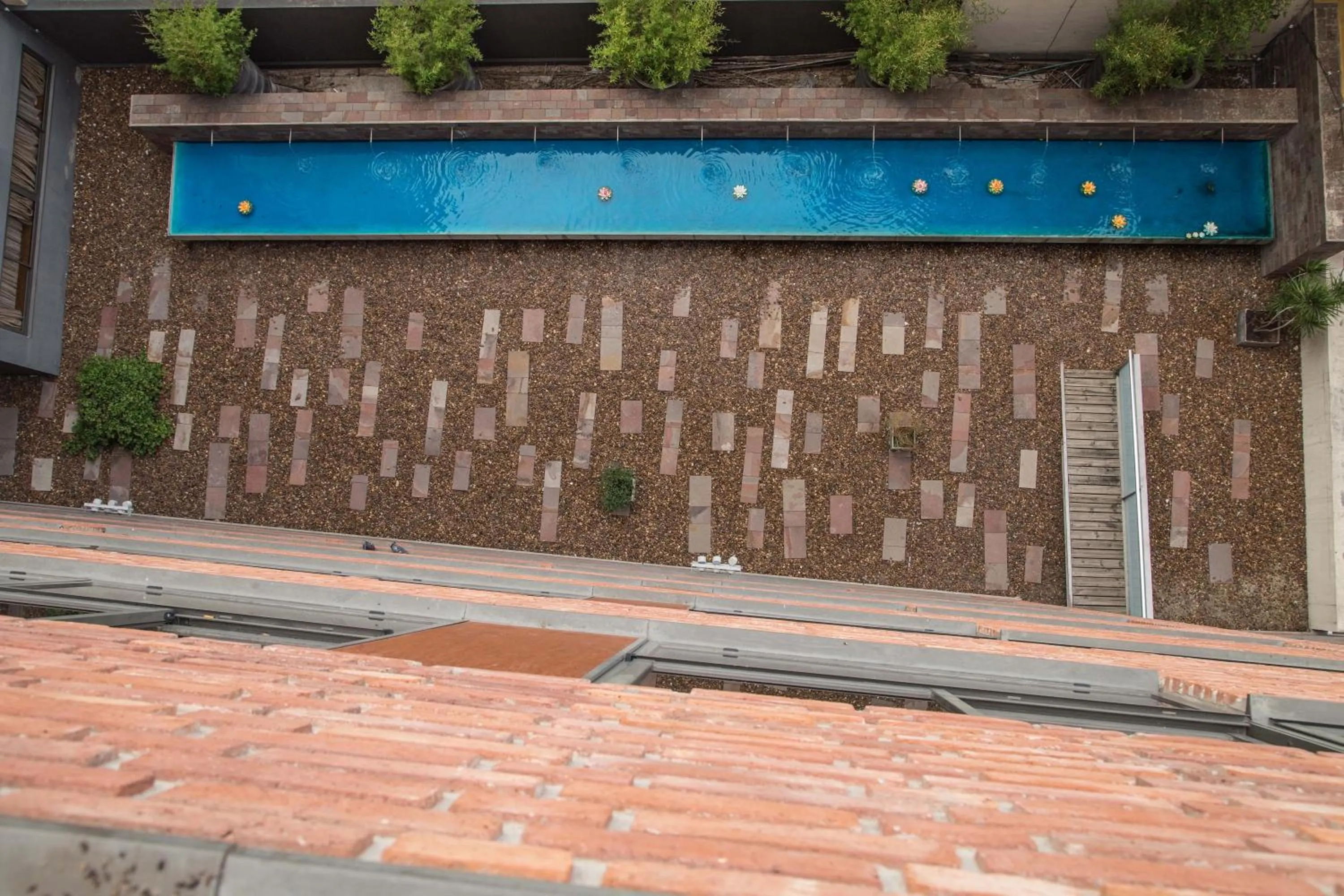 Swimming pool in King David Flat Hotel - Argentina