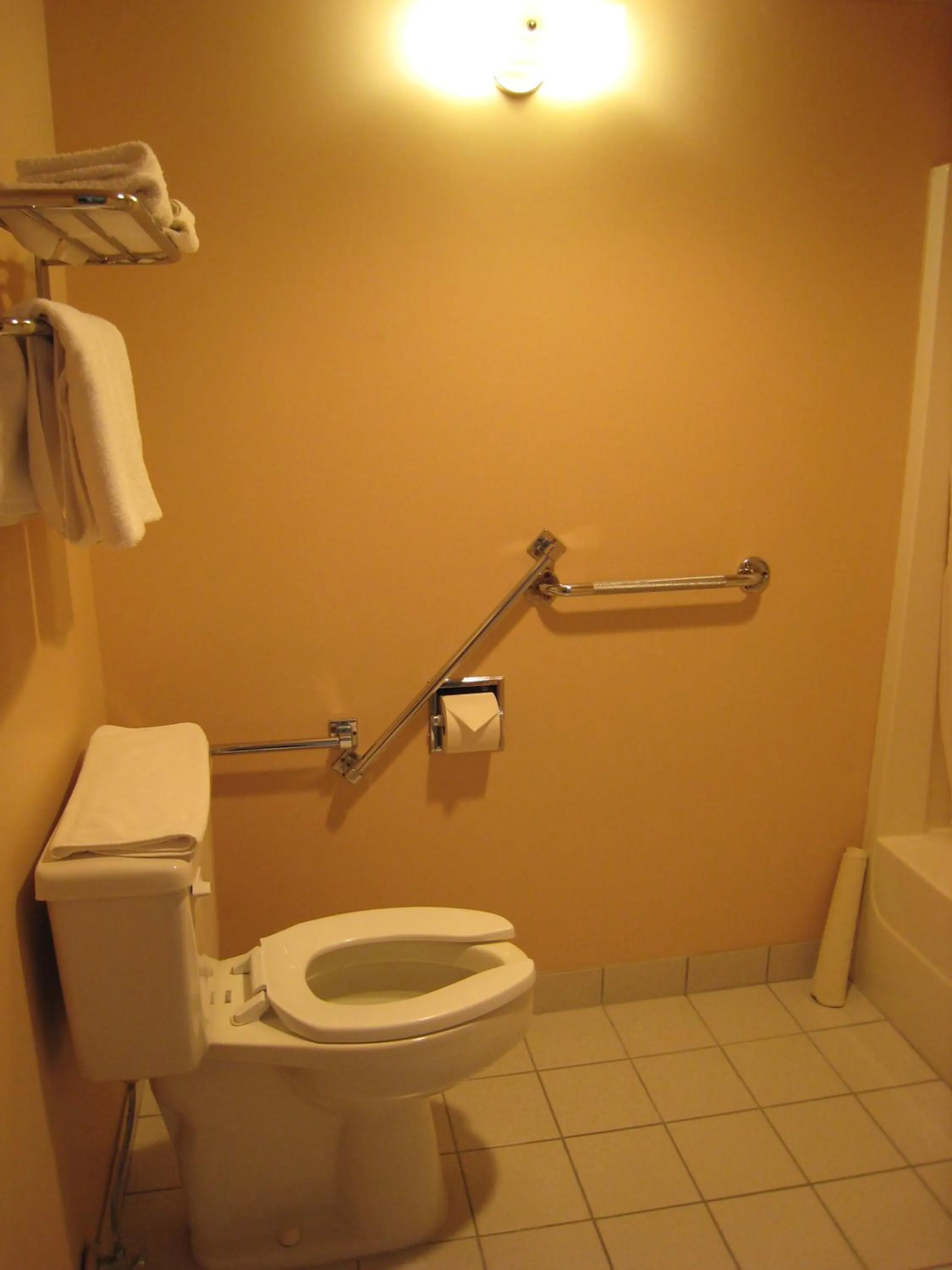 Bathroom in Swiss Village Inn