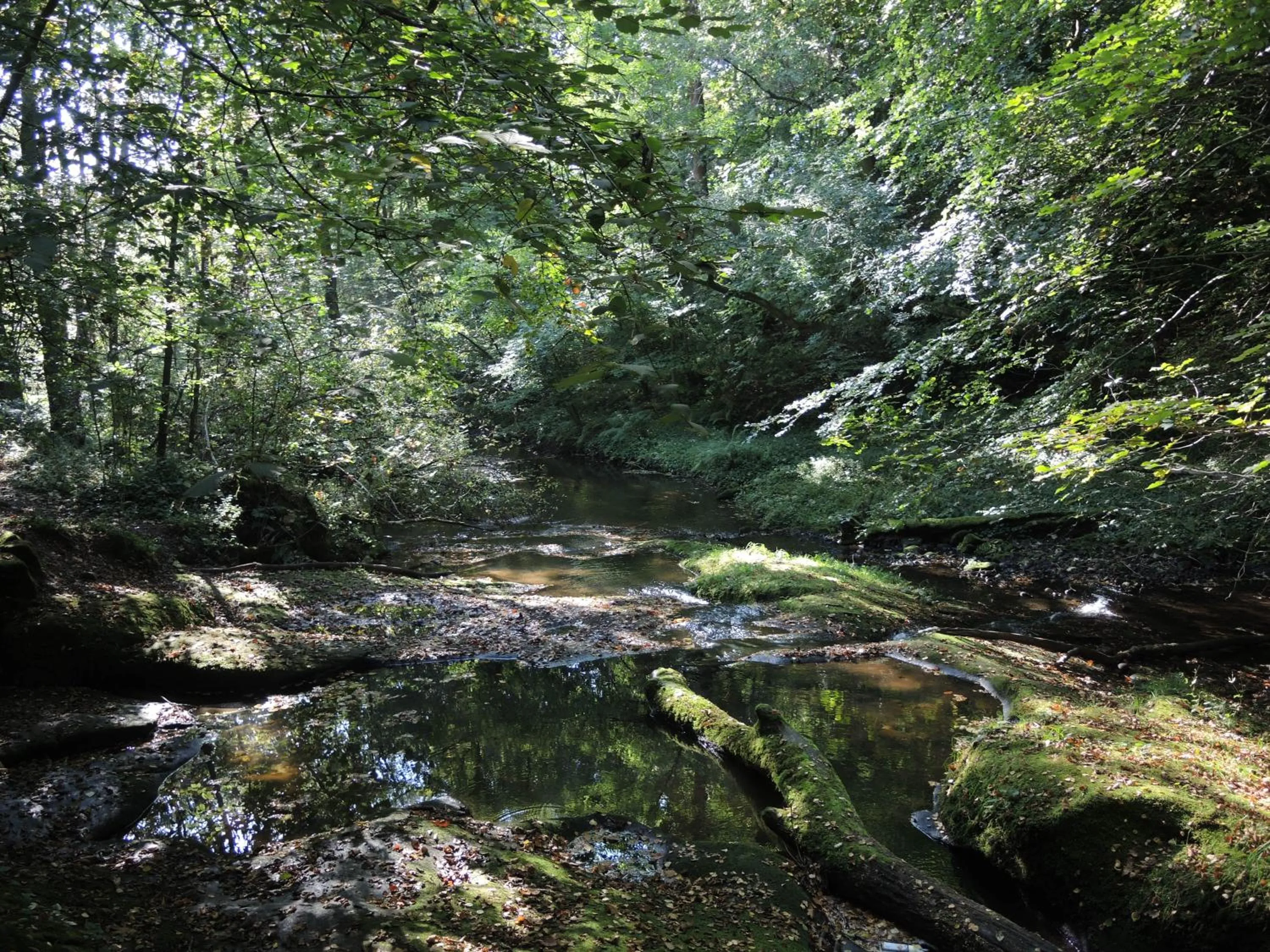 Natural landscape in The Shireburn Arms