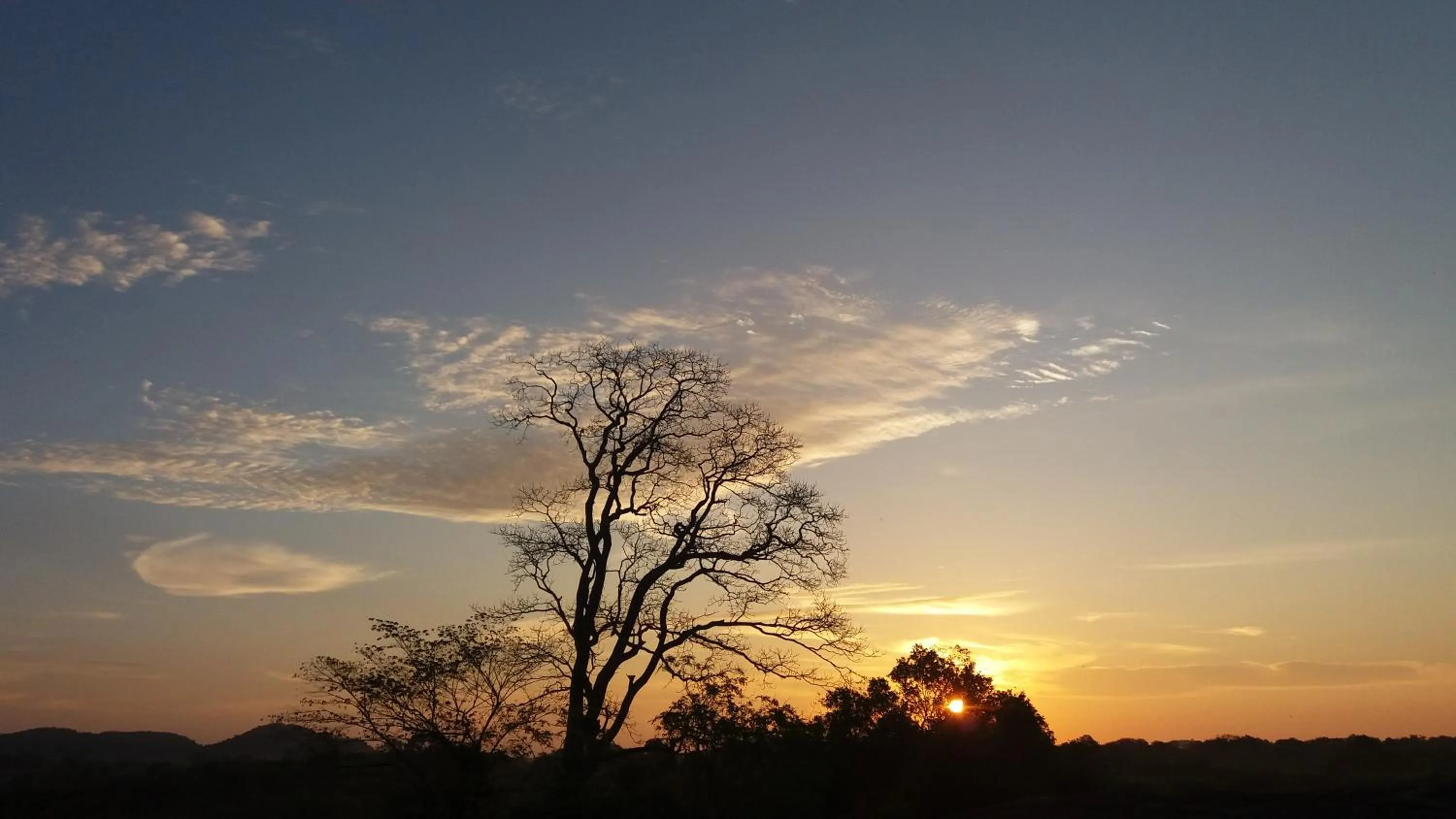 Other in Mahoora Udawalawe - by Eco Team