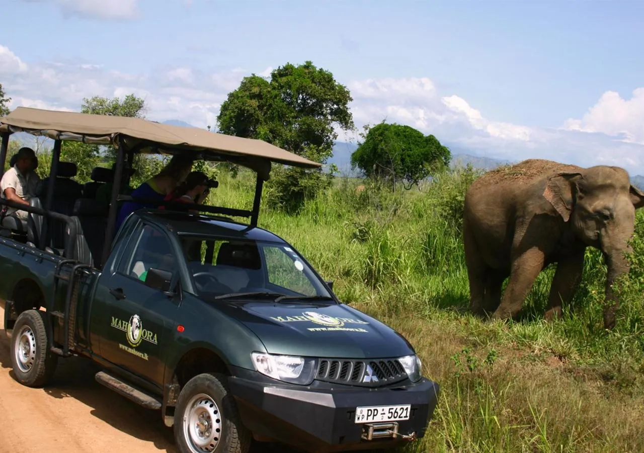 Activities in Mahoora Udawalawe - by Eco Team