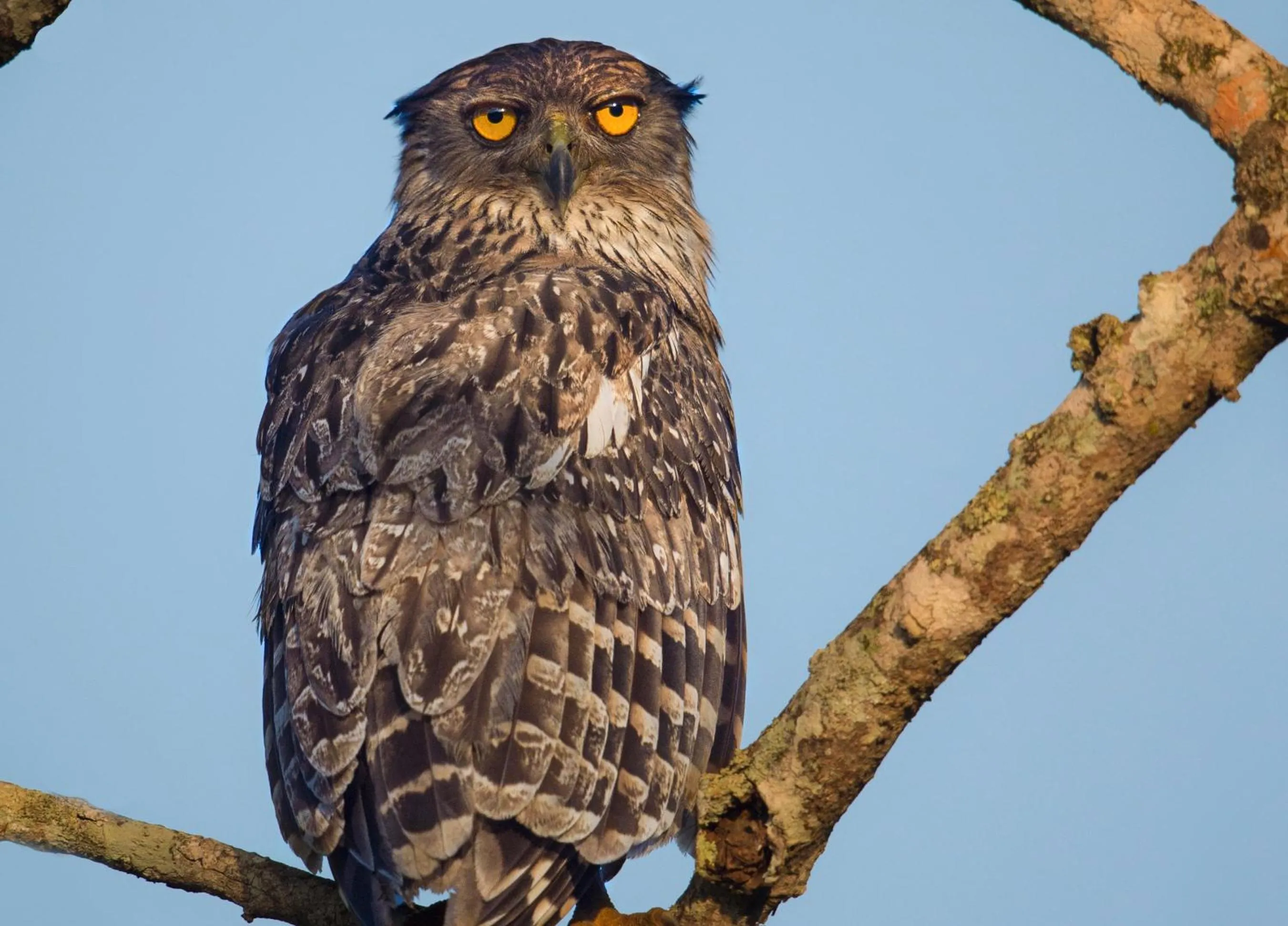 Off site in Mahoora Udawalawe - by Eco Team