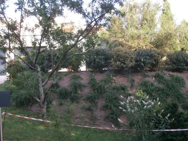 Garden view in villa terrefort