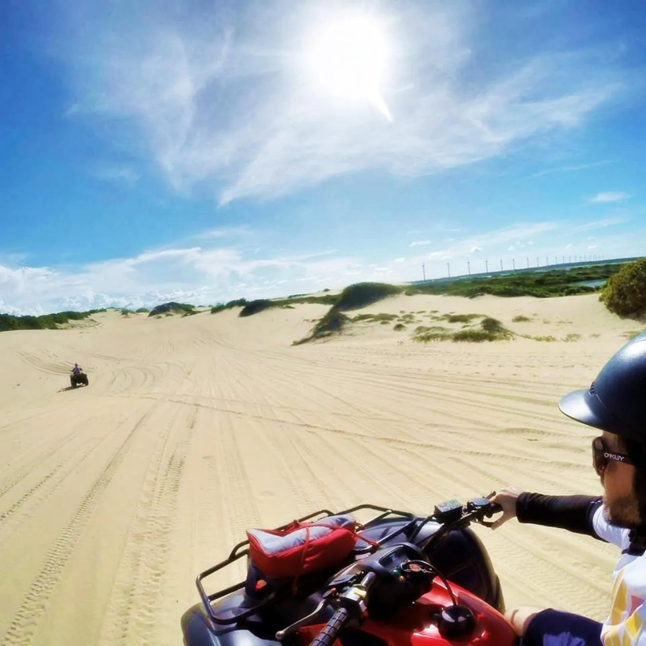 Natural landscape in Pousada Vila Cajuína - Parnaíba