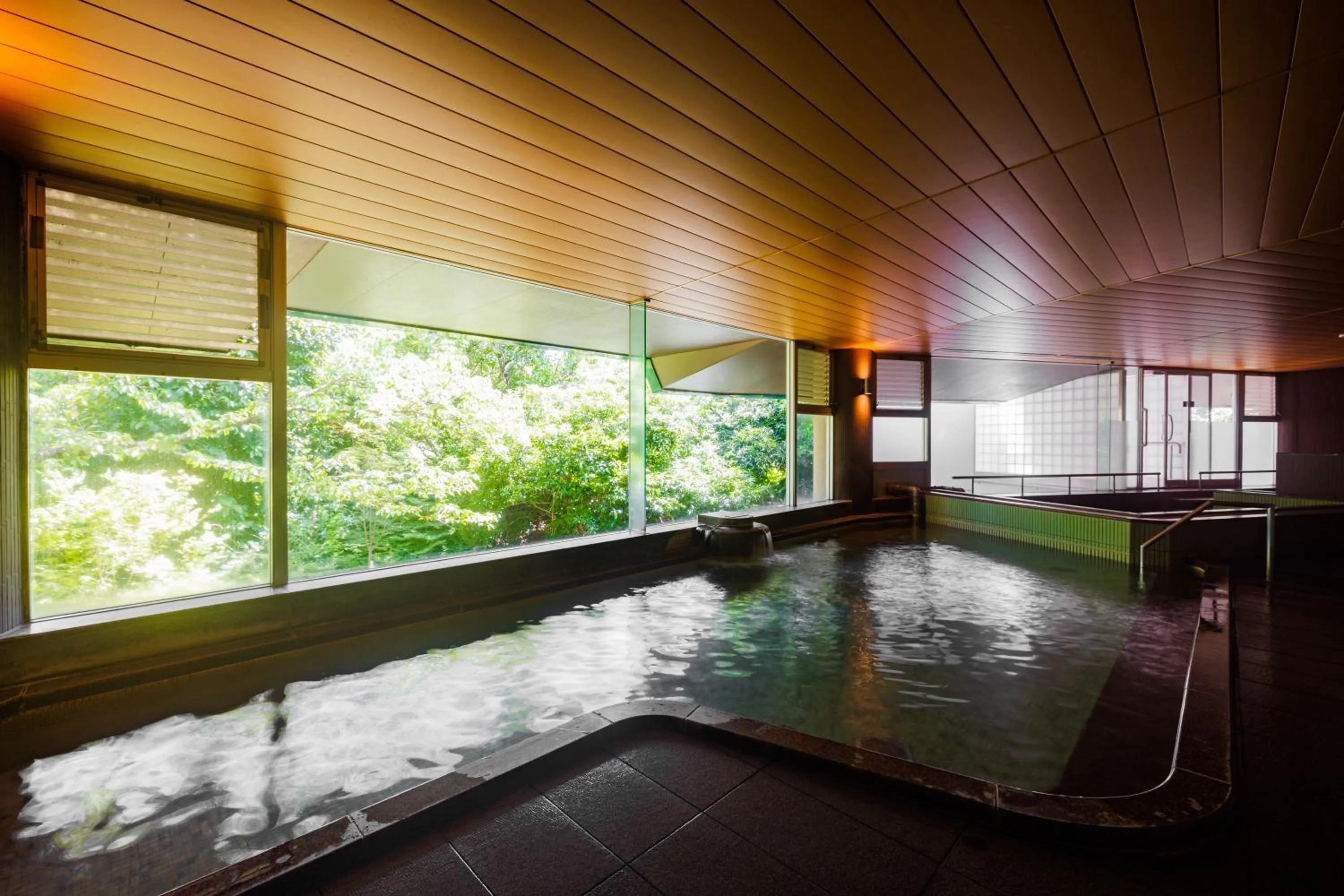 Hot Spring Bath in KAMENOI HOTEL Izukogen