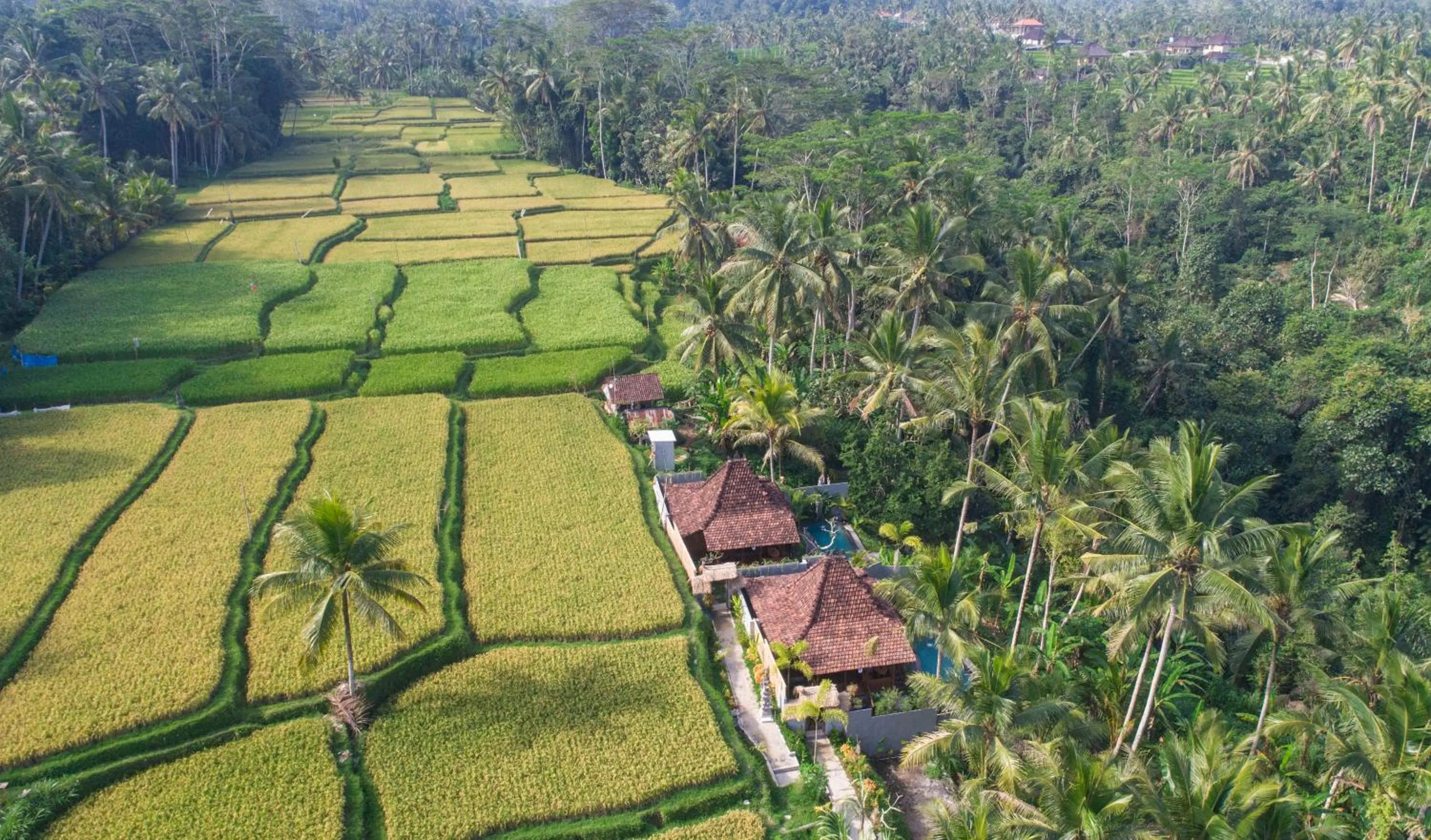 Garden view in Mandana Ubud Villa