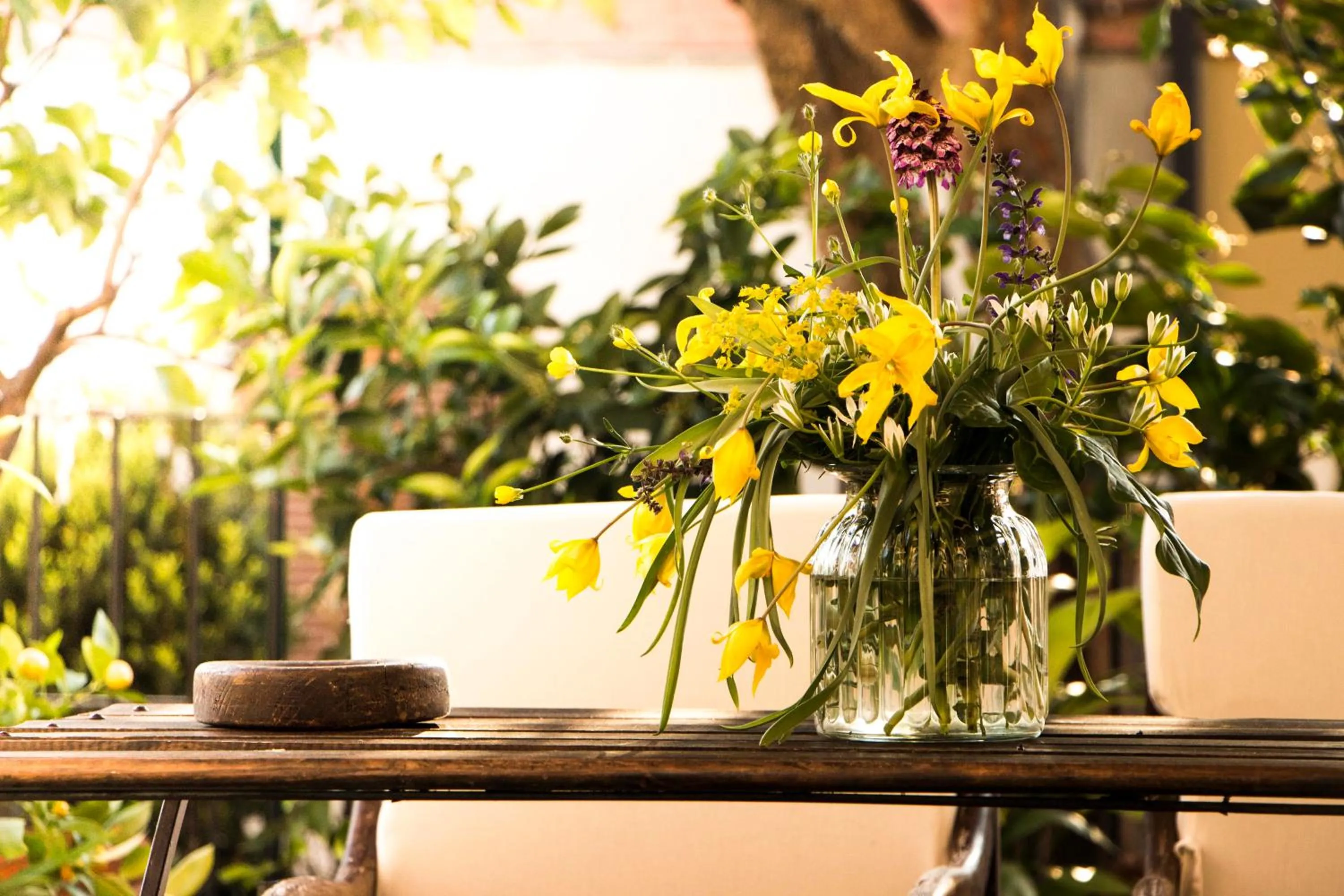 Garden in L'Aromatario