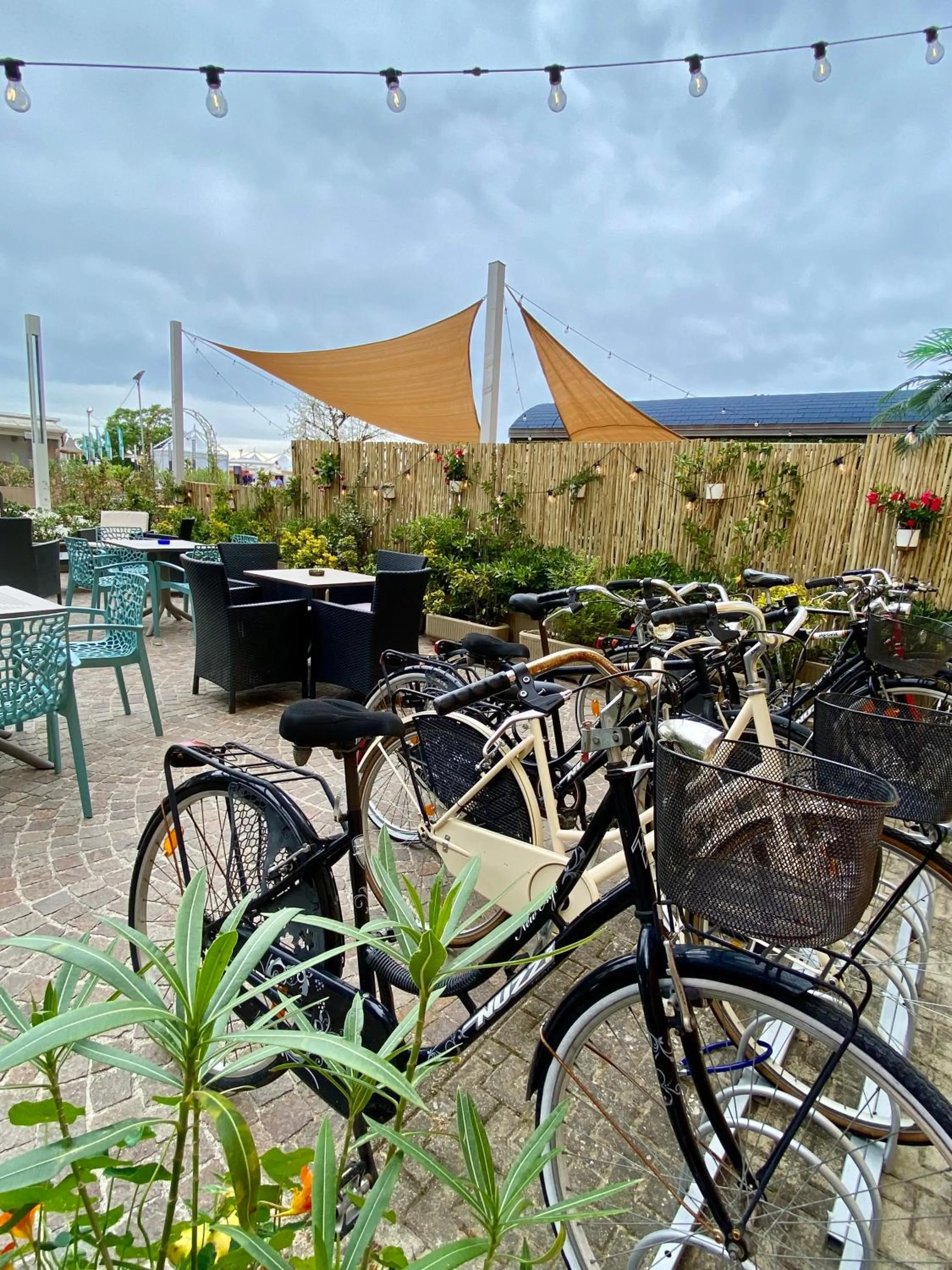 Garden in Hotel Amelia