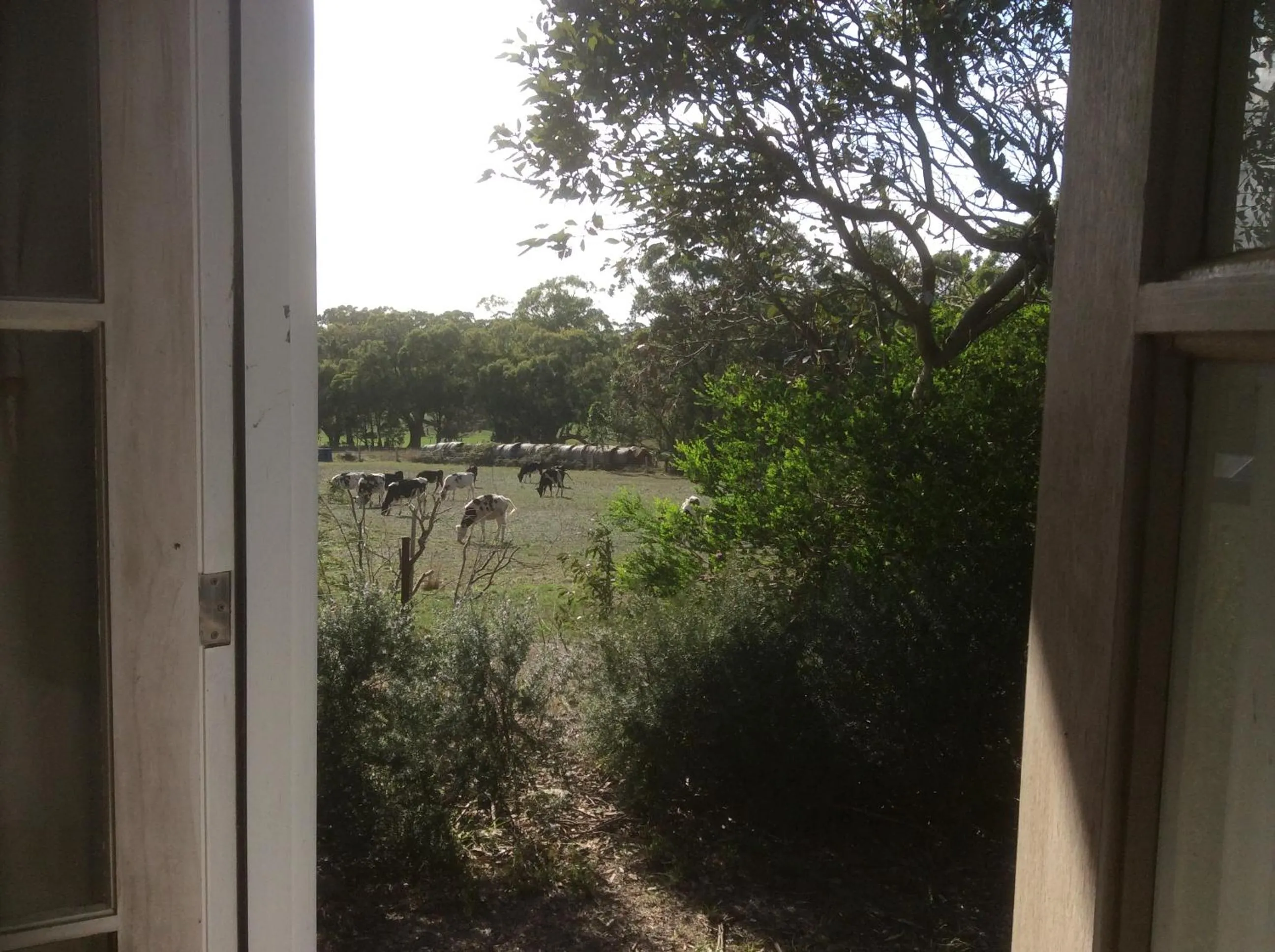 Garden view in Aashay Country Stay