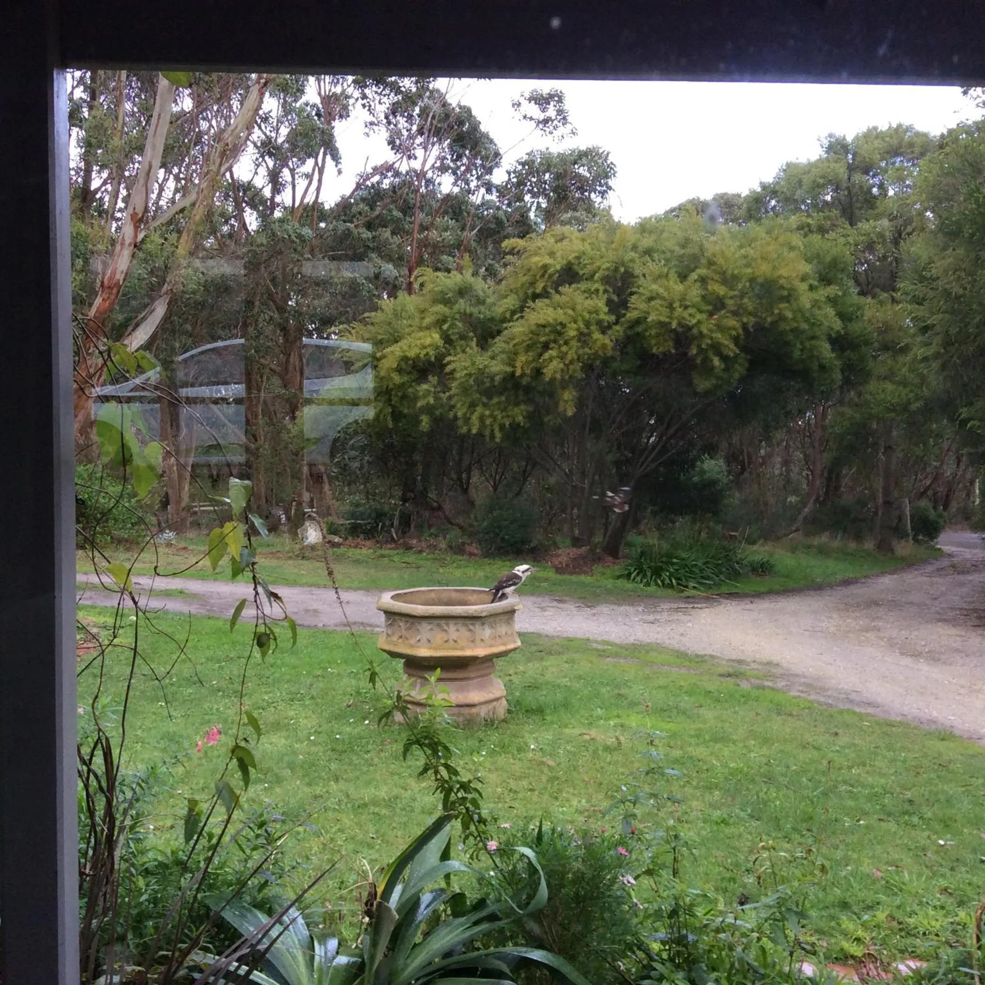 Garden view in Aashay Country Stay