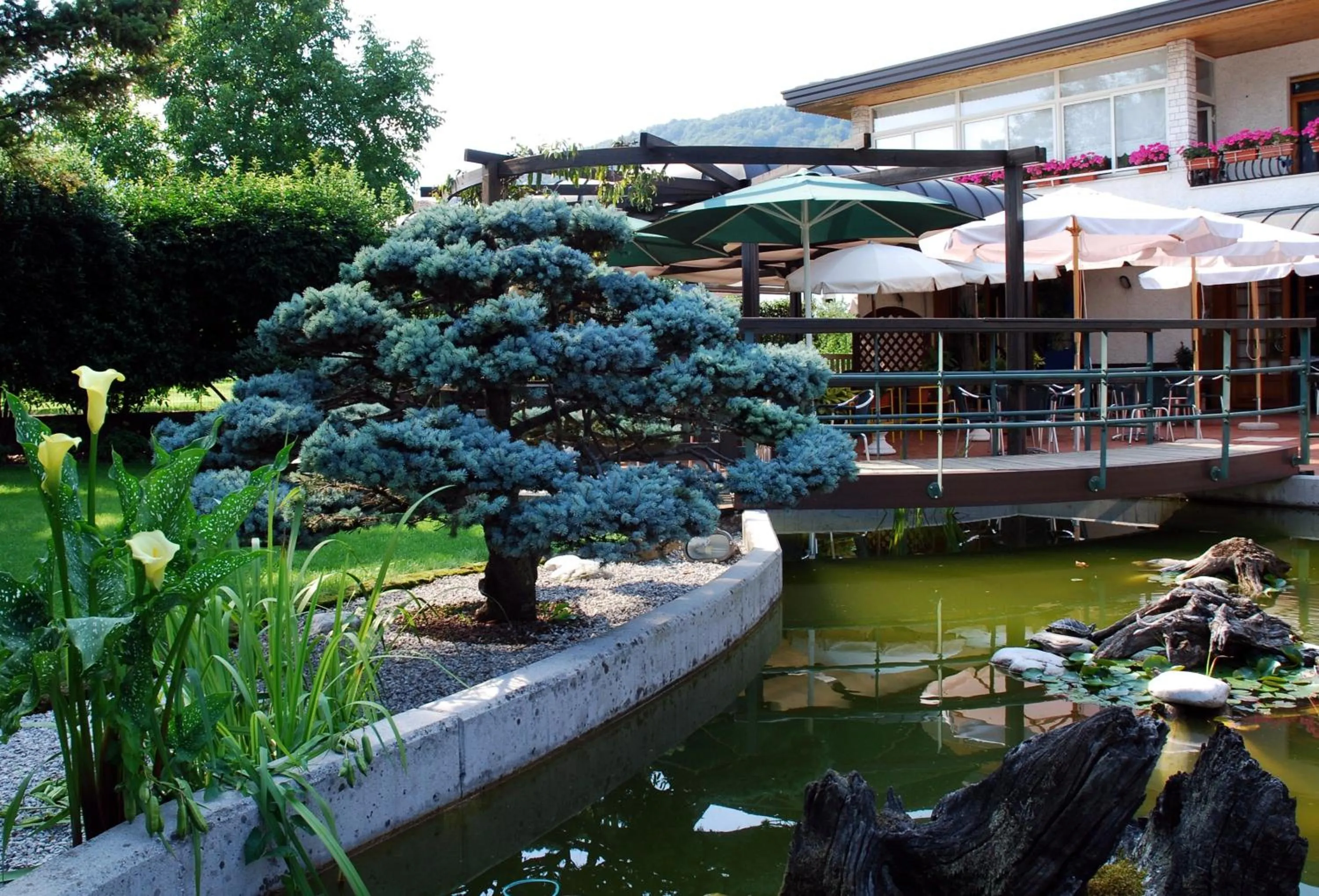 Garden in Al Giardino