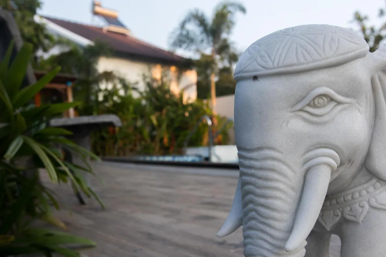 Tây Tiến Bungalow