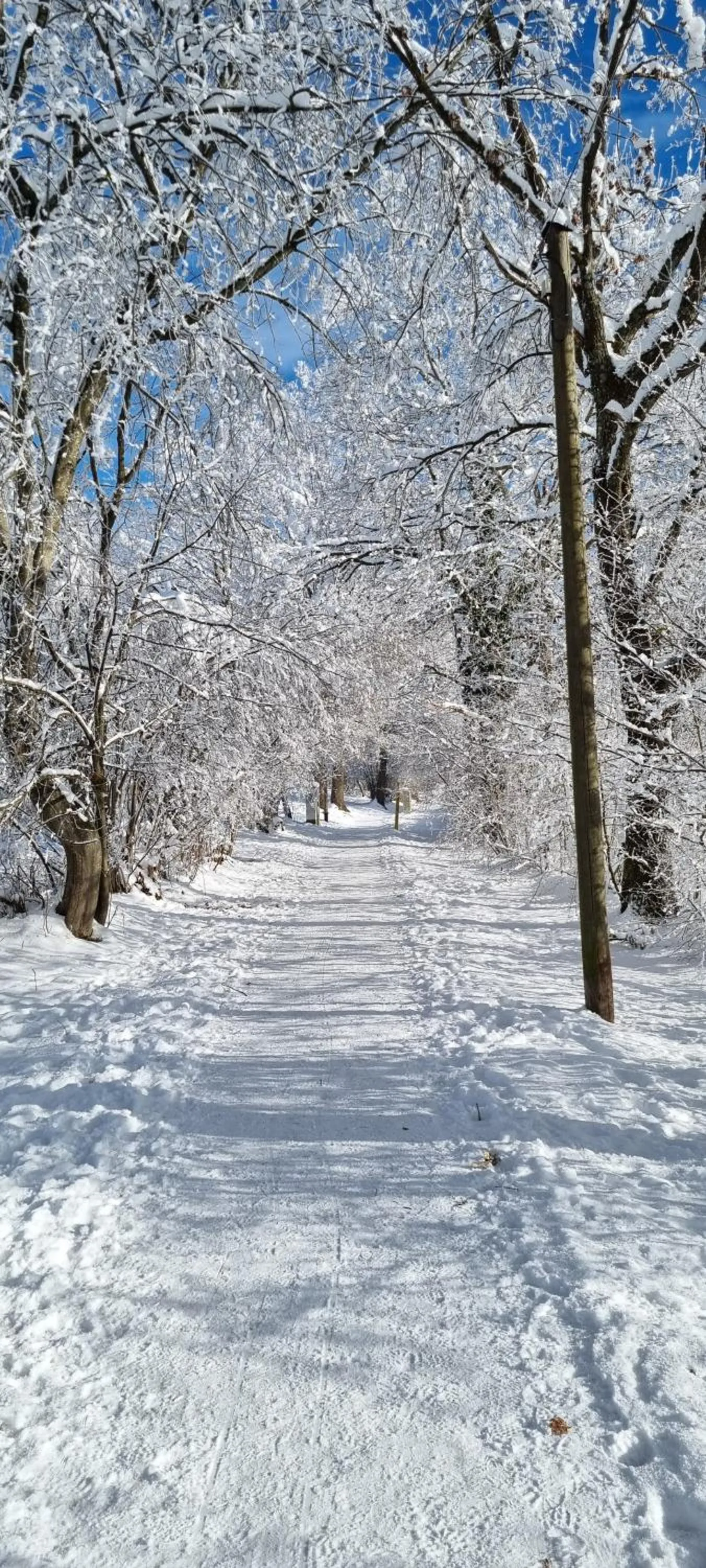 Nearby landmark in Boutique Hotel Angerer
