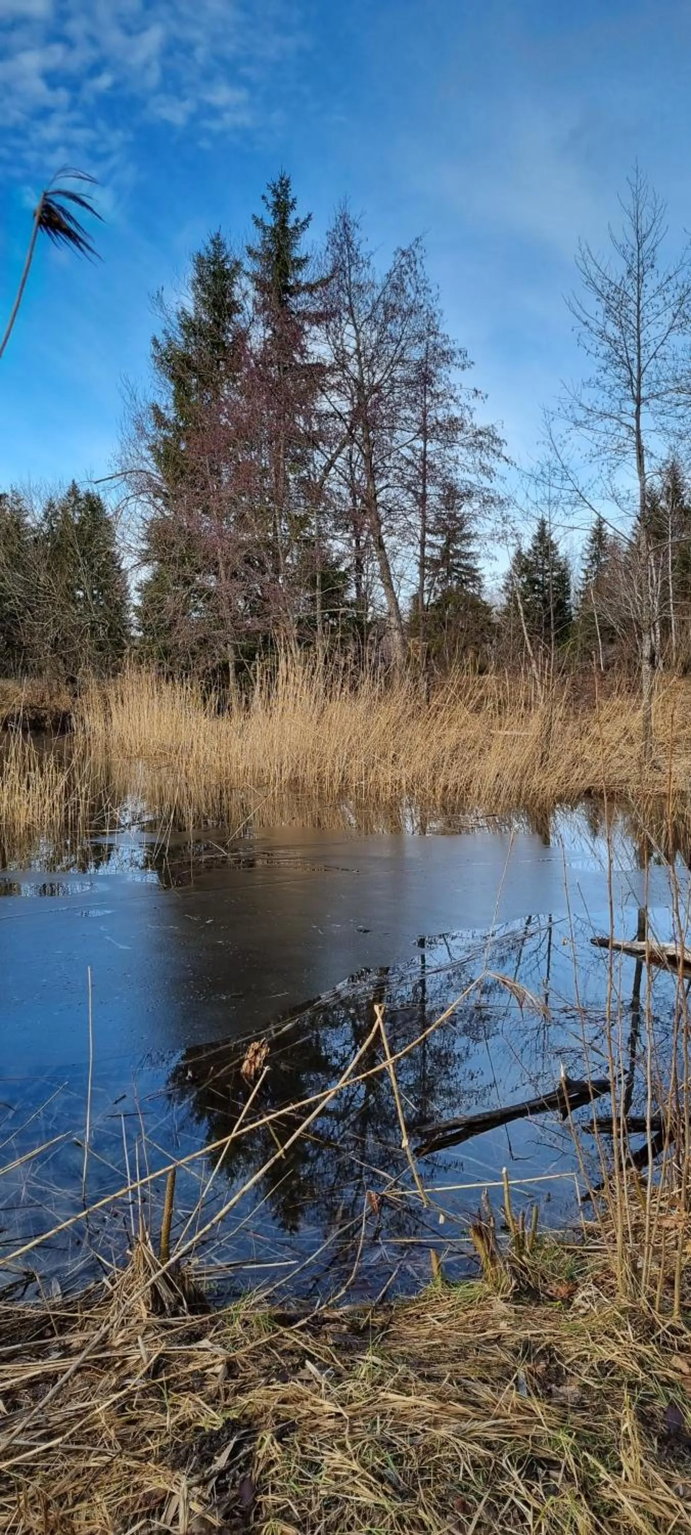 Nearby landmark in Boutique Hotel Angerer