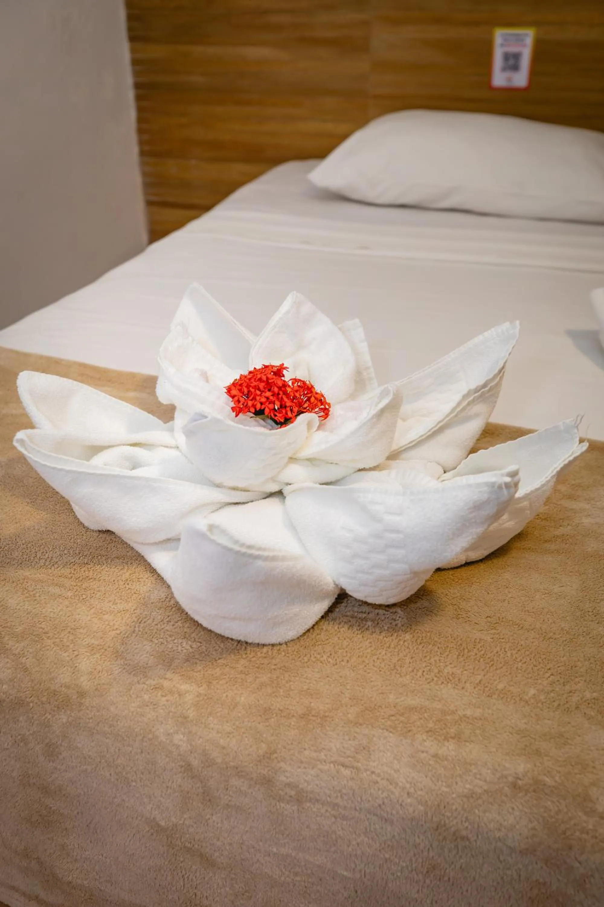 Photo of the whole room in Arraial do Sol Beach Hotel