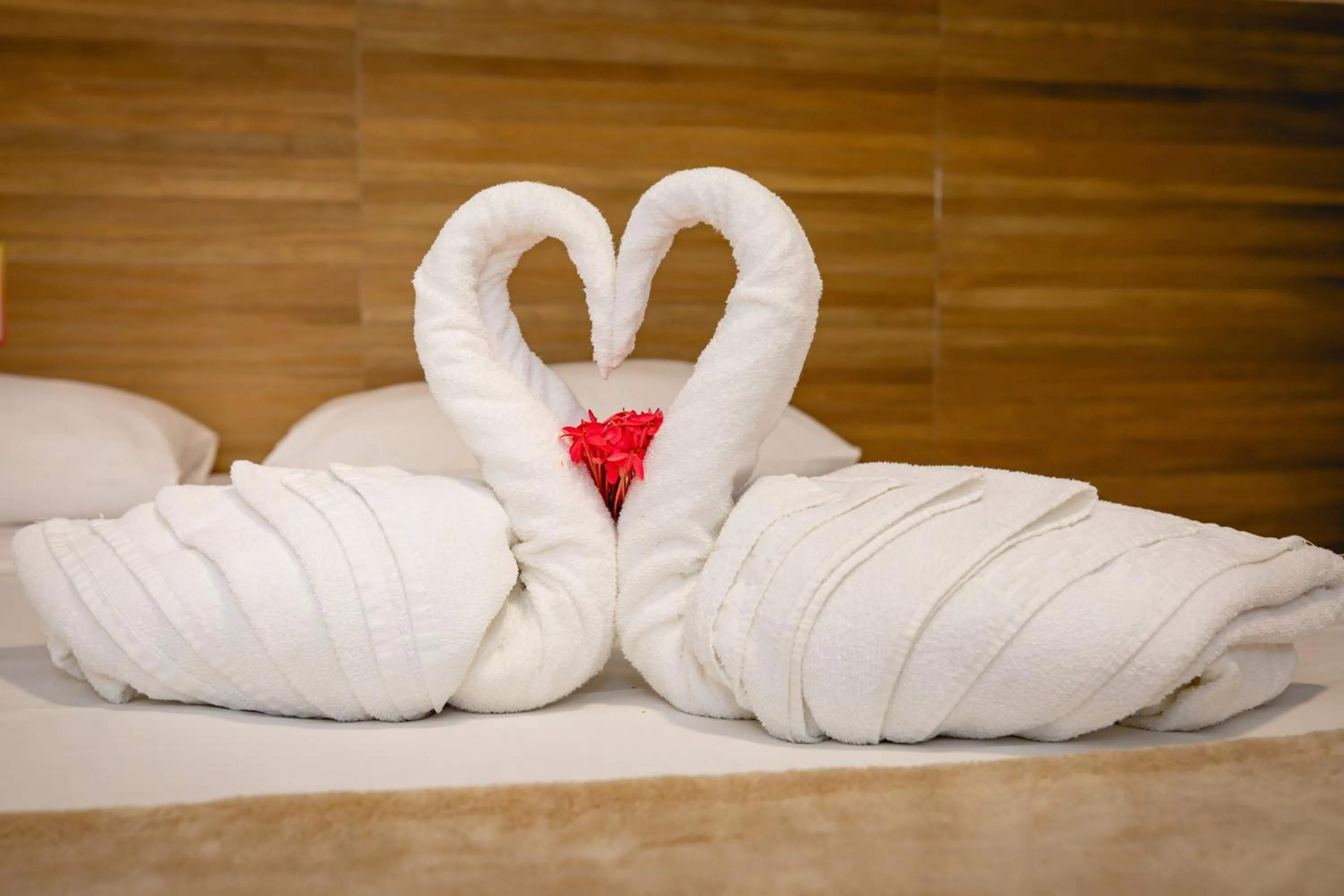 Photo of the whole room, Bed in Arraial do Sol Beach Hotel