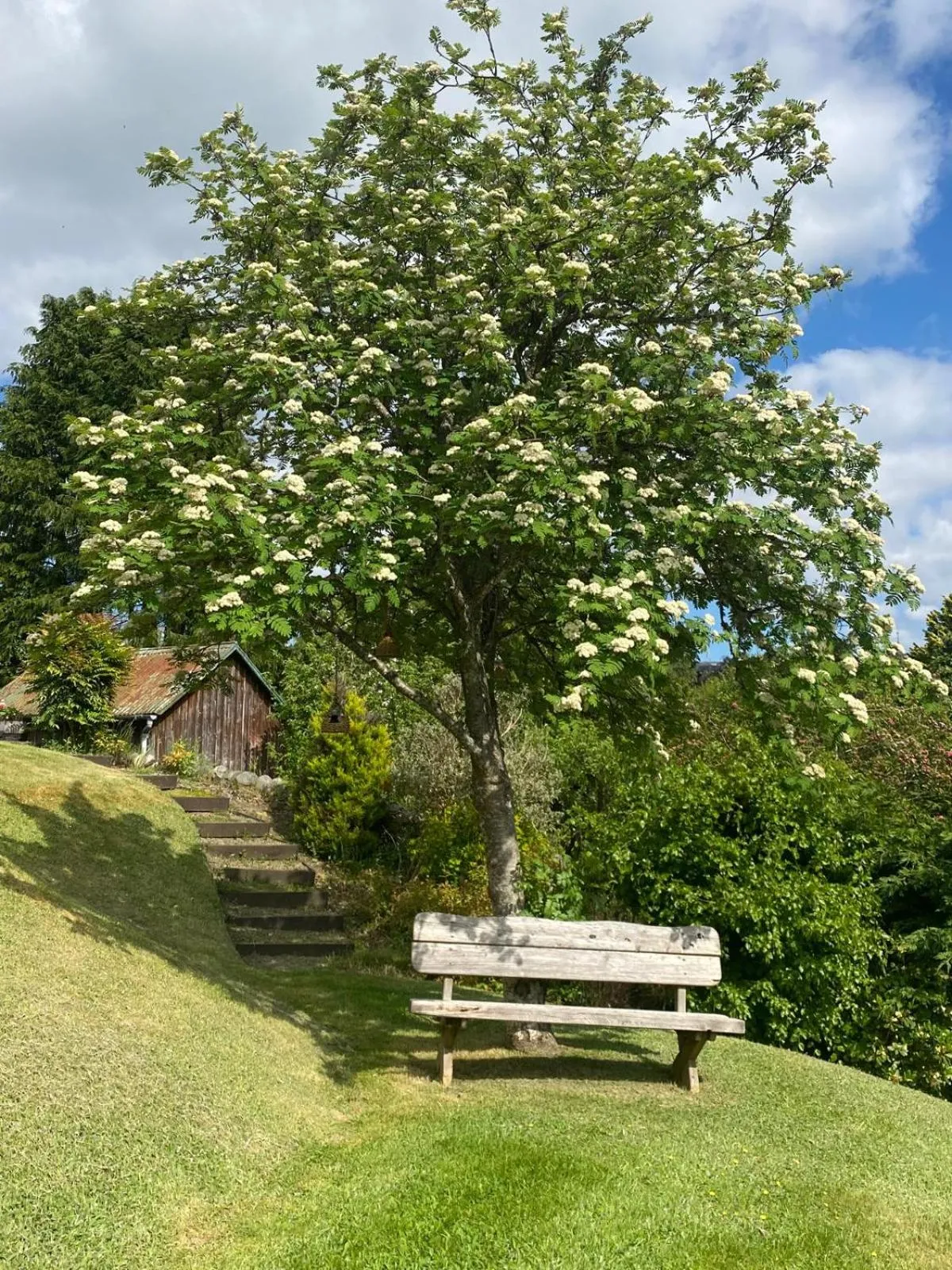 Garden in Beinn Bhracaigh