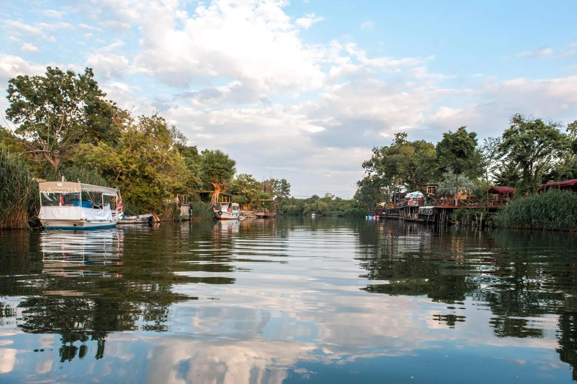 Natural landscape in Park Mandalin Hotel - Adult only