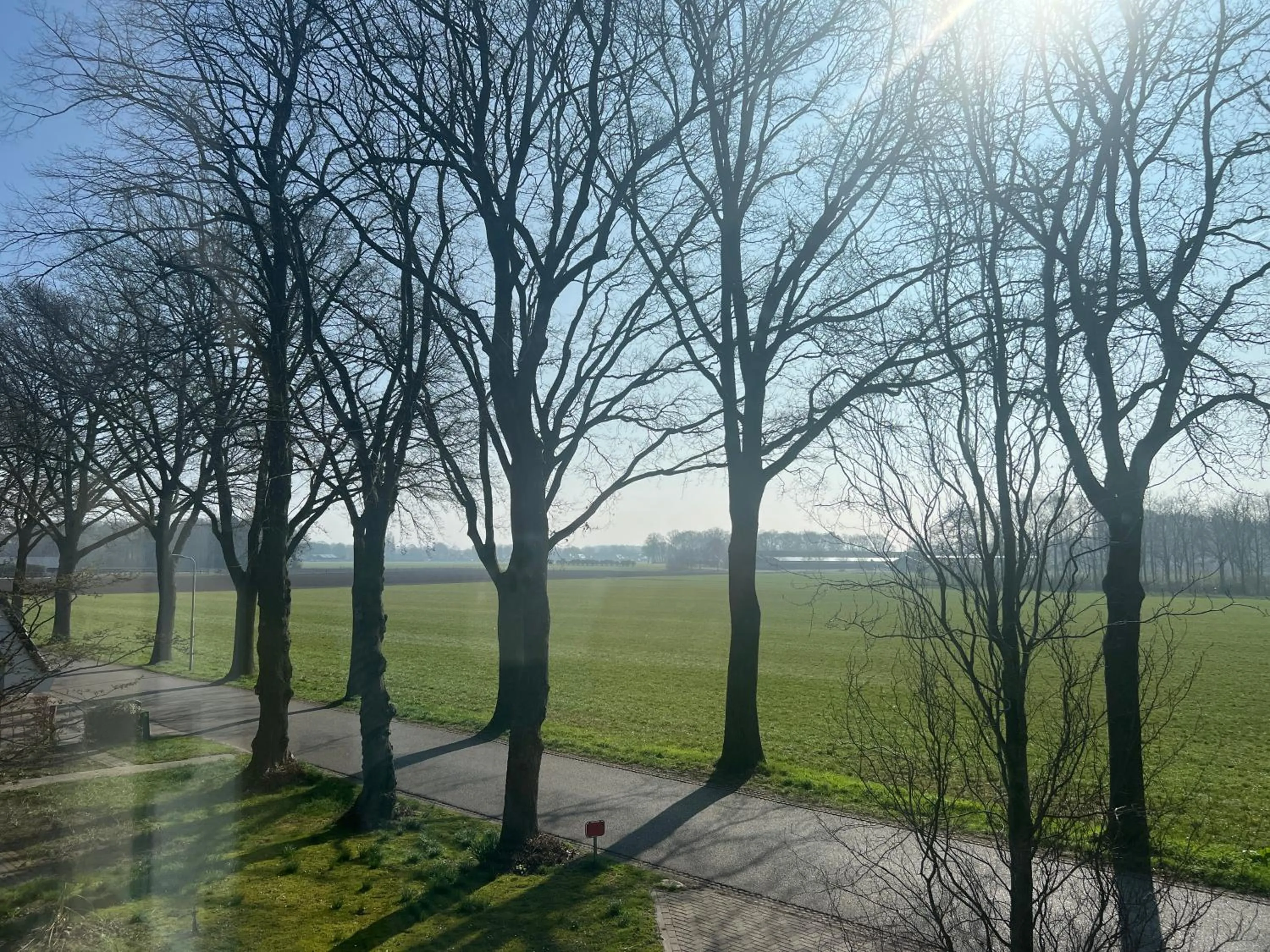 Garden view in Brinkesdiek