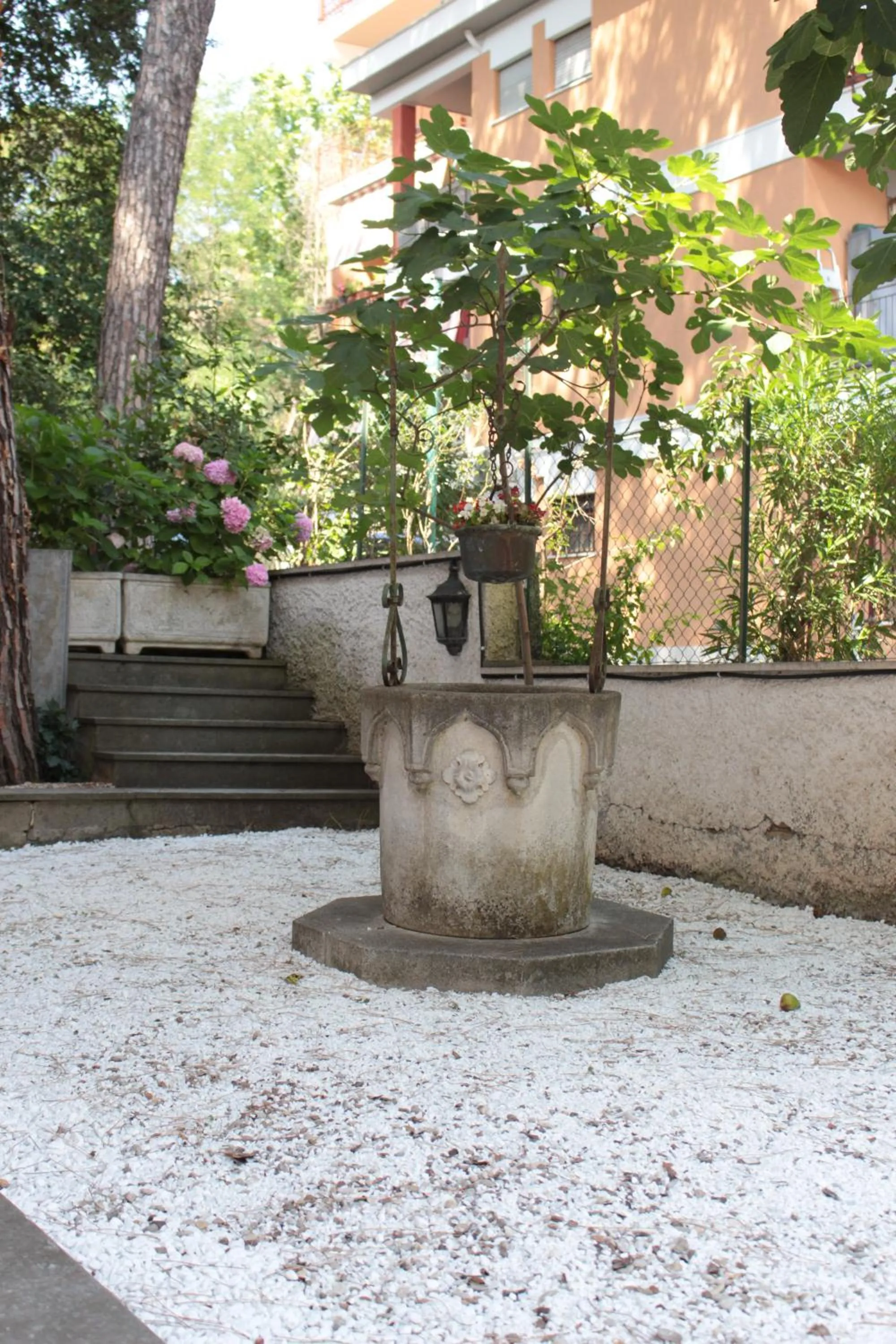 Garden in Ianus Guest House