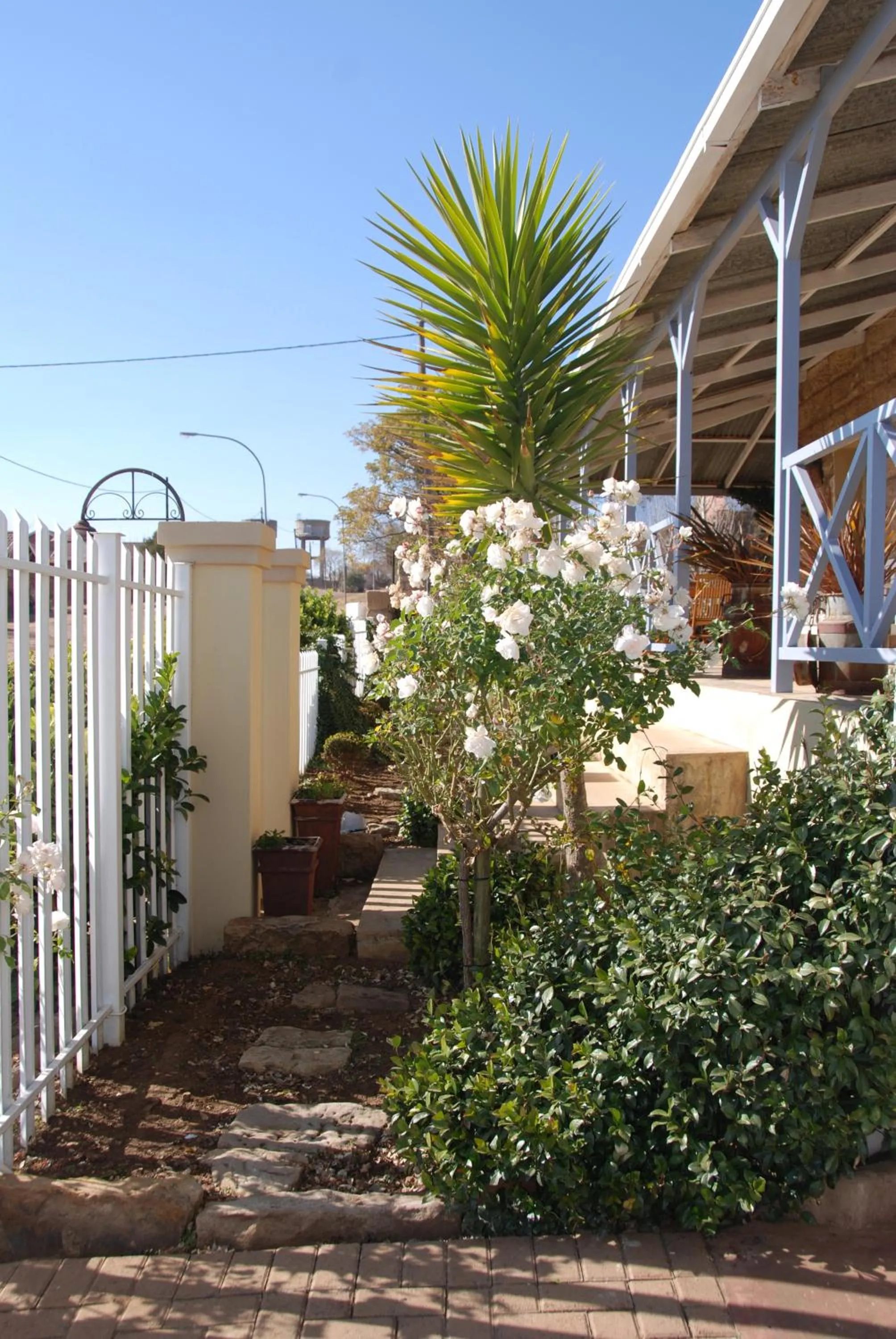 Garden in Sandstone Chameleon Guest House