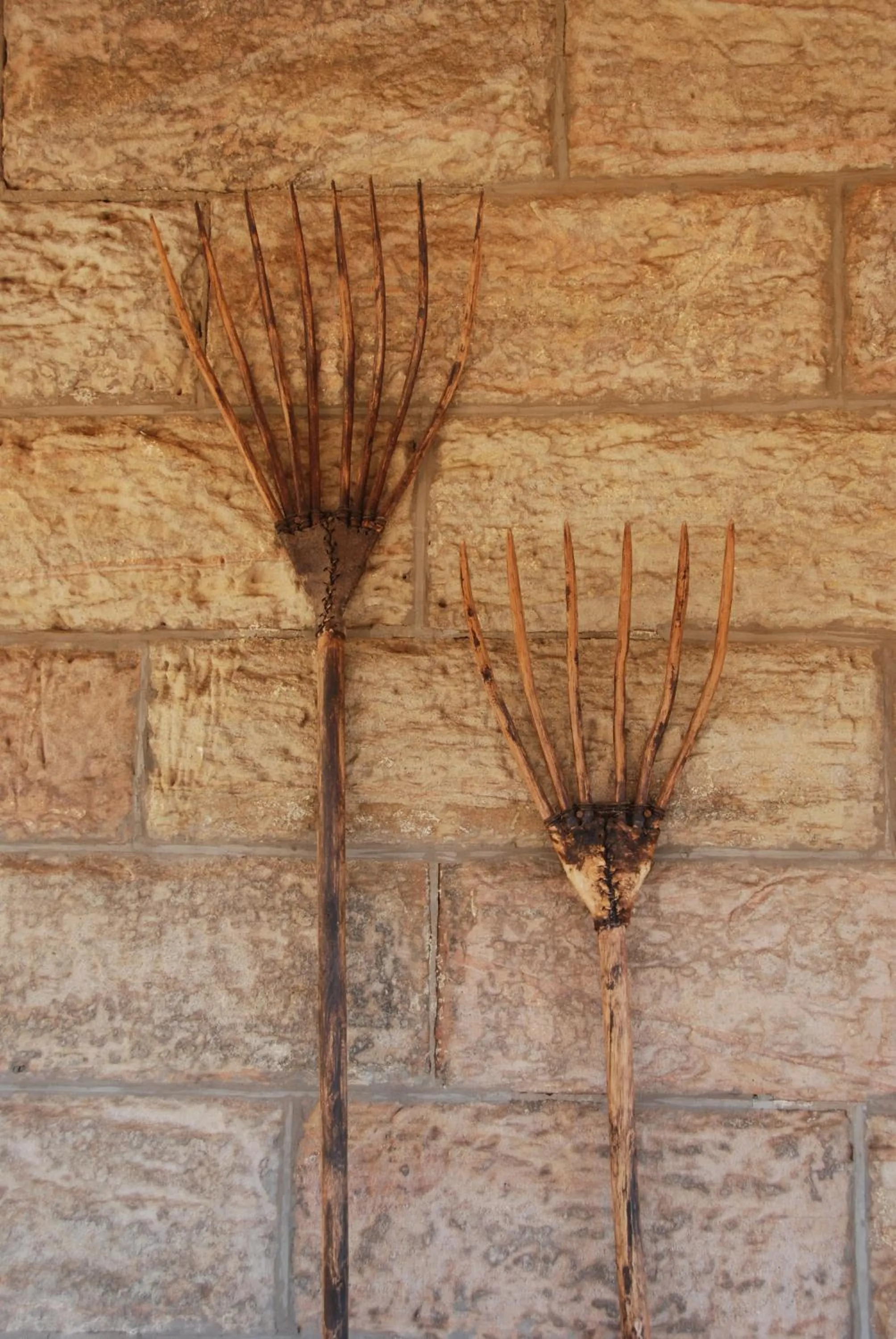 Decorative detail in Sandstone Chameleon Guest House