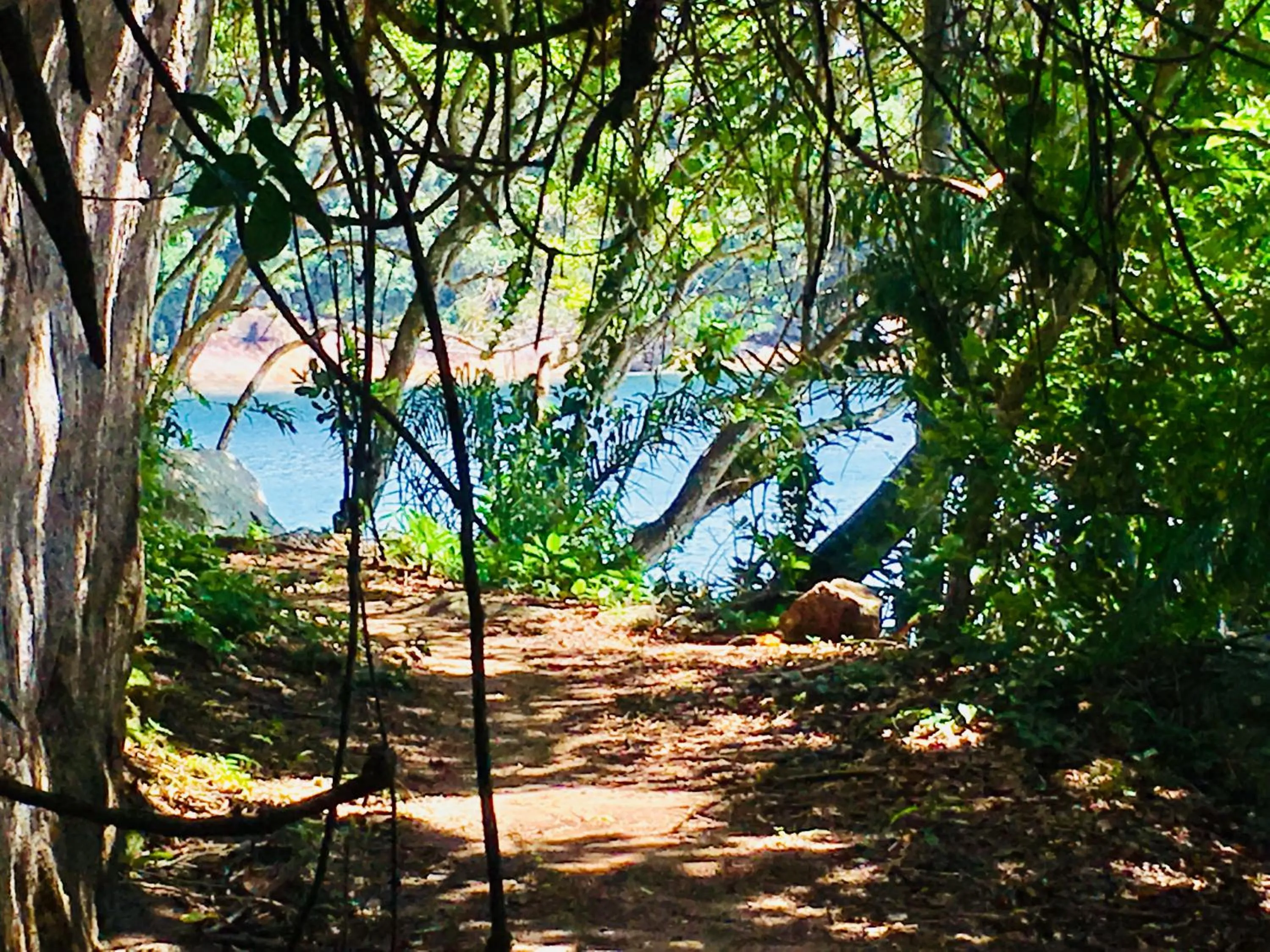 Other in Pousada Sobre As Ondas de Picinguaba