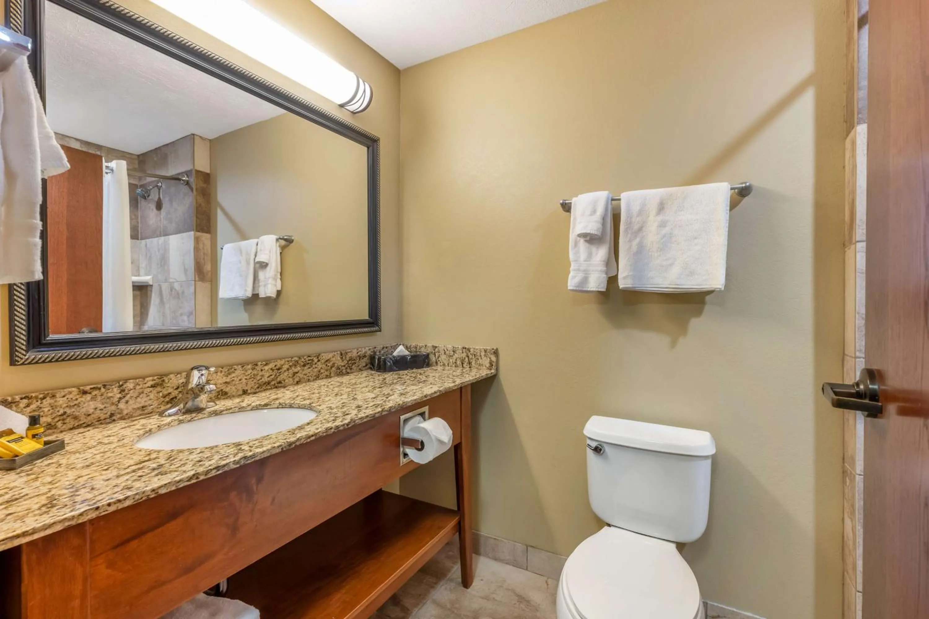 Bathroom in Best Western Plus Grand Island Inn and Suites