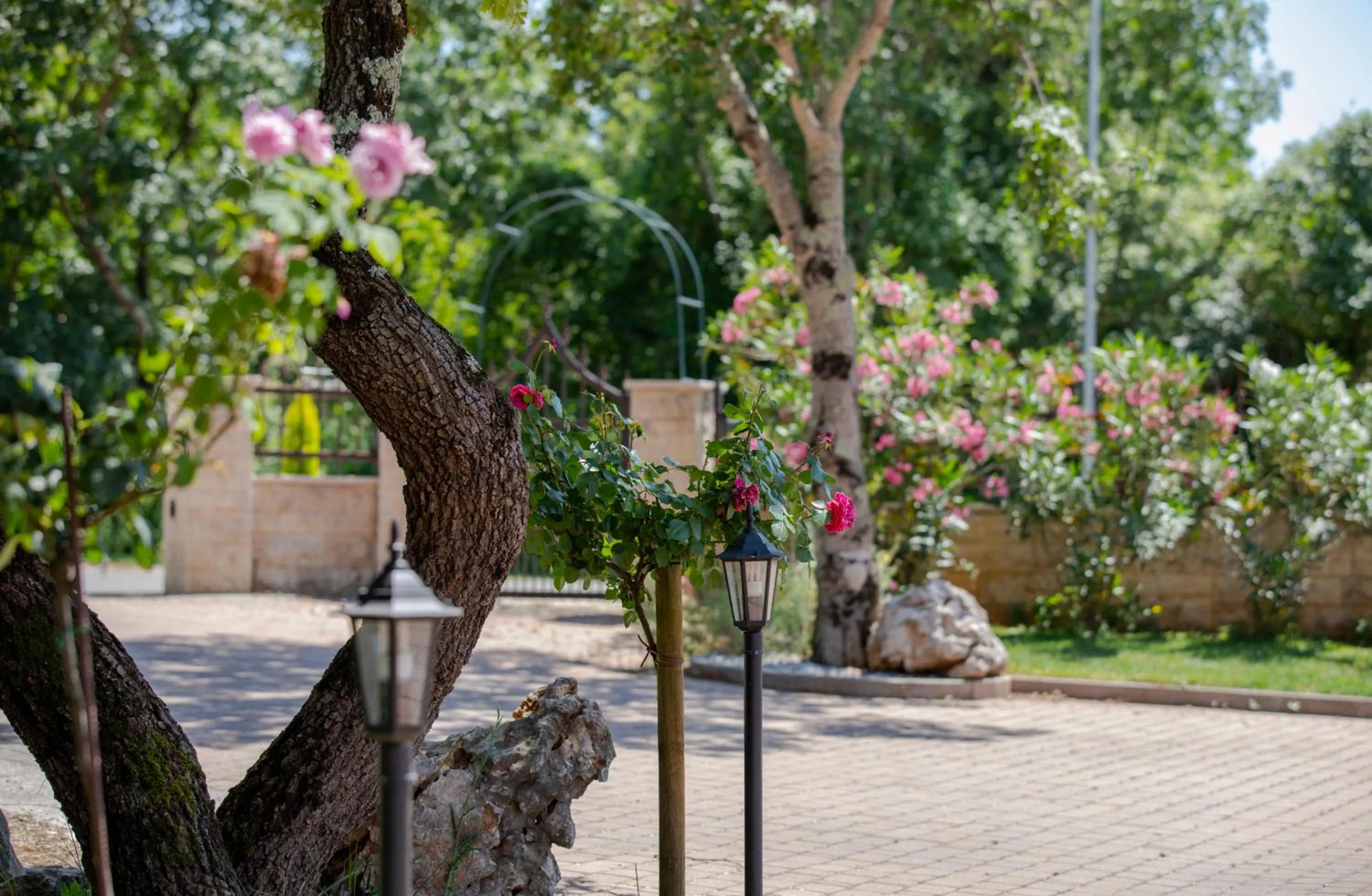 Garden in Hotel Natura Vilanija