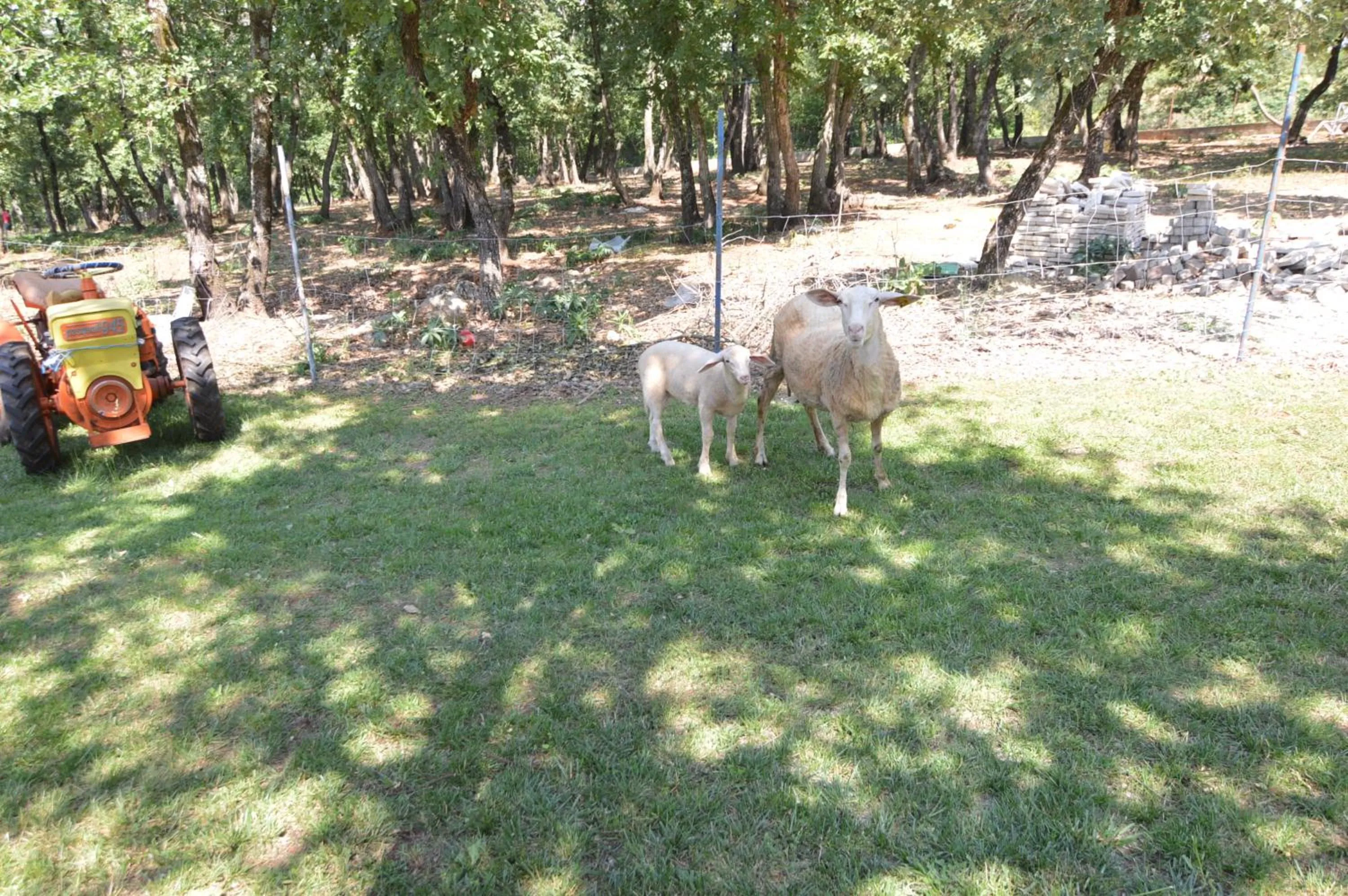 Natural landscape in Hotel Natura Vilanija