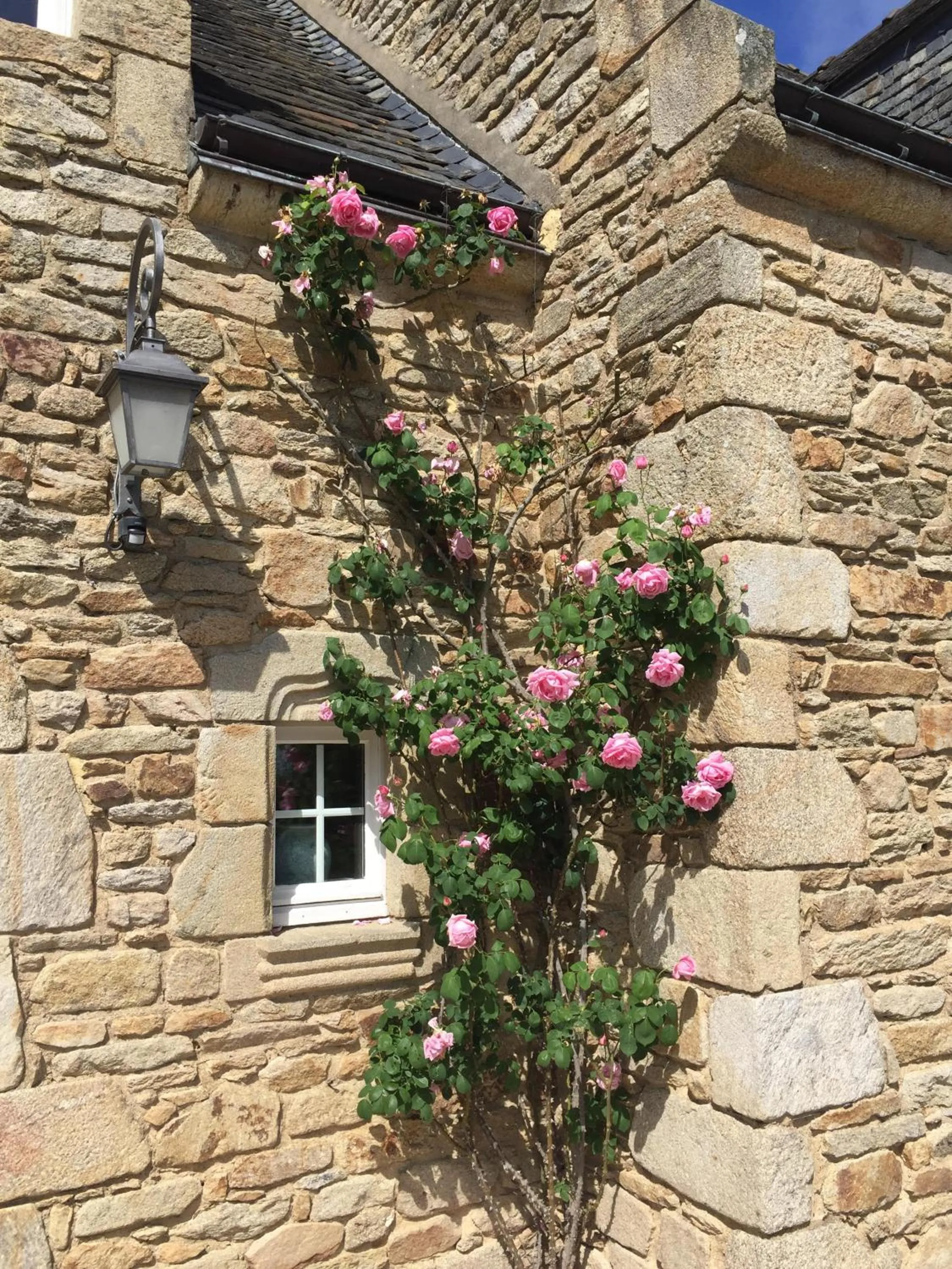 Garden in Chambres d'hotes "Manoir Des Quatre Saisons"