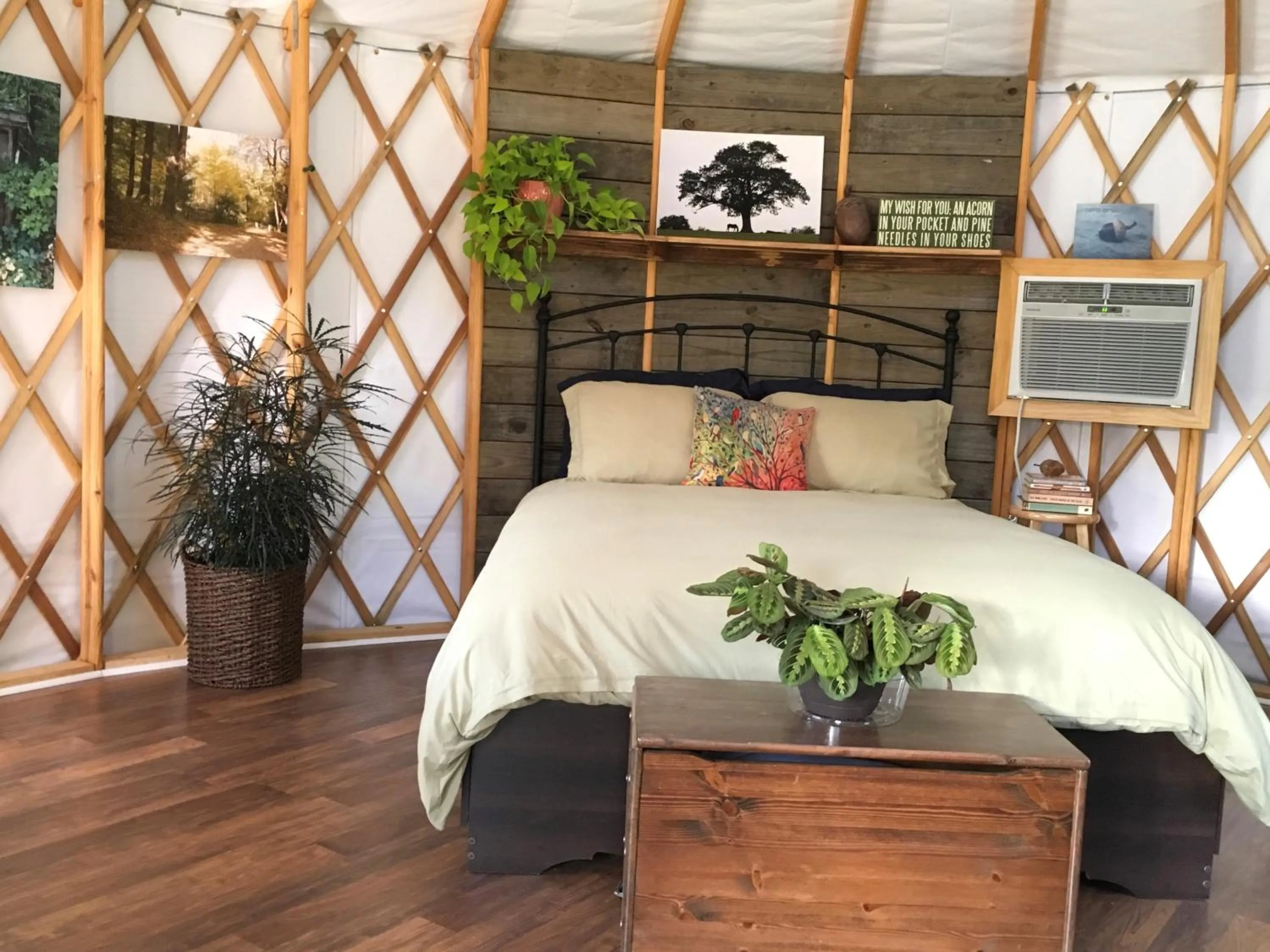 Bed in Mountain Springs Cabins